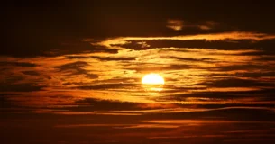 La amistad debe ser infinitamente más tolerante que el amor. - Madame de Genlis