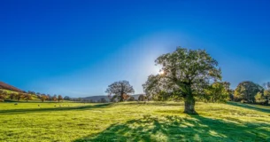 La belleza es algo terrible, porque no ha sido abrazada ni podrá serlo nunca; y lo peor es que la belleza es tan misteriosa como terrible. Es una lucha entre Dios y el demonio, y el campo de batalla es el corazón del hombre. - Fedor Mijailovich Dostoievski
