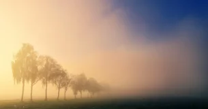 La belleza es algo terrible, porque no ha sido abrazada ni podrá serlo nunca; y lo peor es que la belleza es tan misteriosa como terrible. Es una lucha entre Dios y el demonio, y el campo de batalla es el corazón del hombre. - Fedor Mijailovich Dostoievski