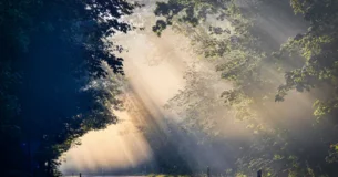 La fuerza es confianza por naturaleza. No existe un signo más patente de debilidad que desconfiar instintivamente de todo y de todos. - Arturo Graf