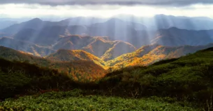 Dada la debilidad de la naturaleza humana, los remedios son siempre más lentos que los males. - Cayo Cornelio Tácito