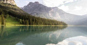 La vida es un paraíso para aquellos que aman muchas cosas apasionadamente. - Leo Buscaglia