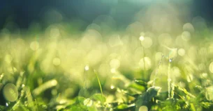 La vida es un paraíso para aquellos que aman muchas cosas apasionadamente. - Leo Buscaglia