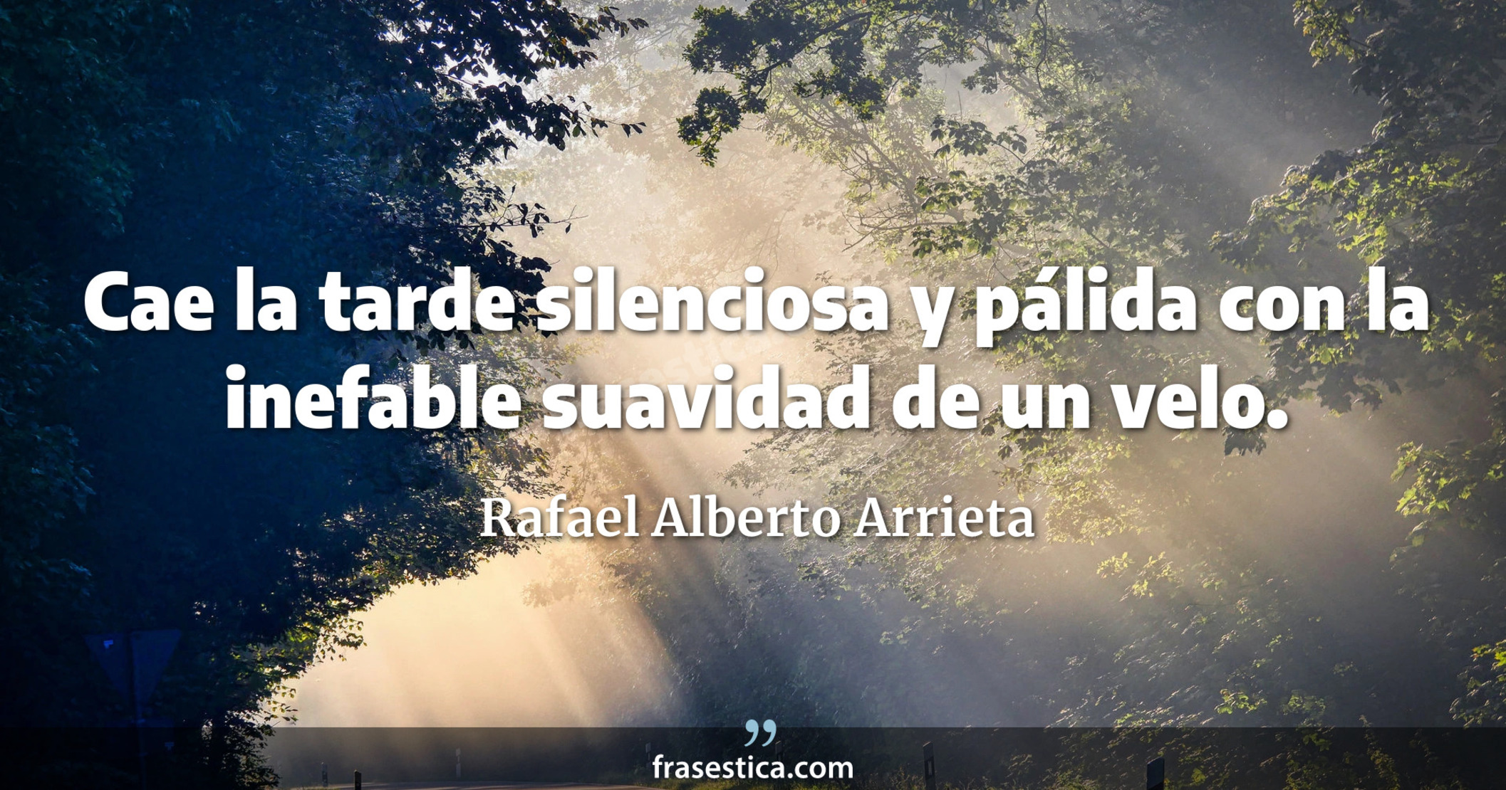 Cae la tarde silenciosa y pálida con la inefable suavidad de un velo. - Rafael Alberto Arrieta