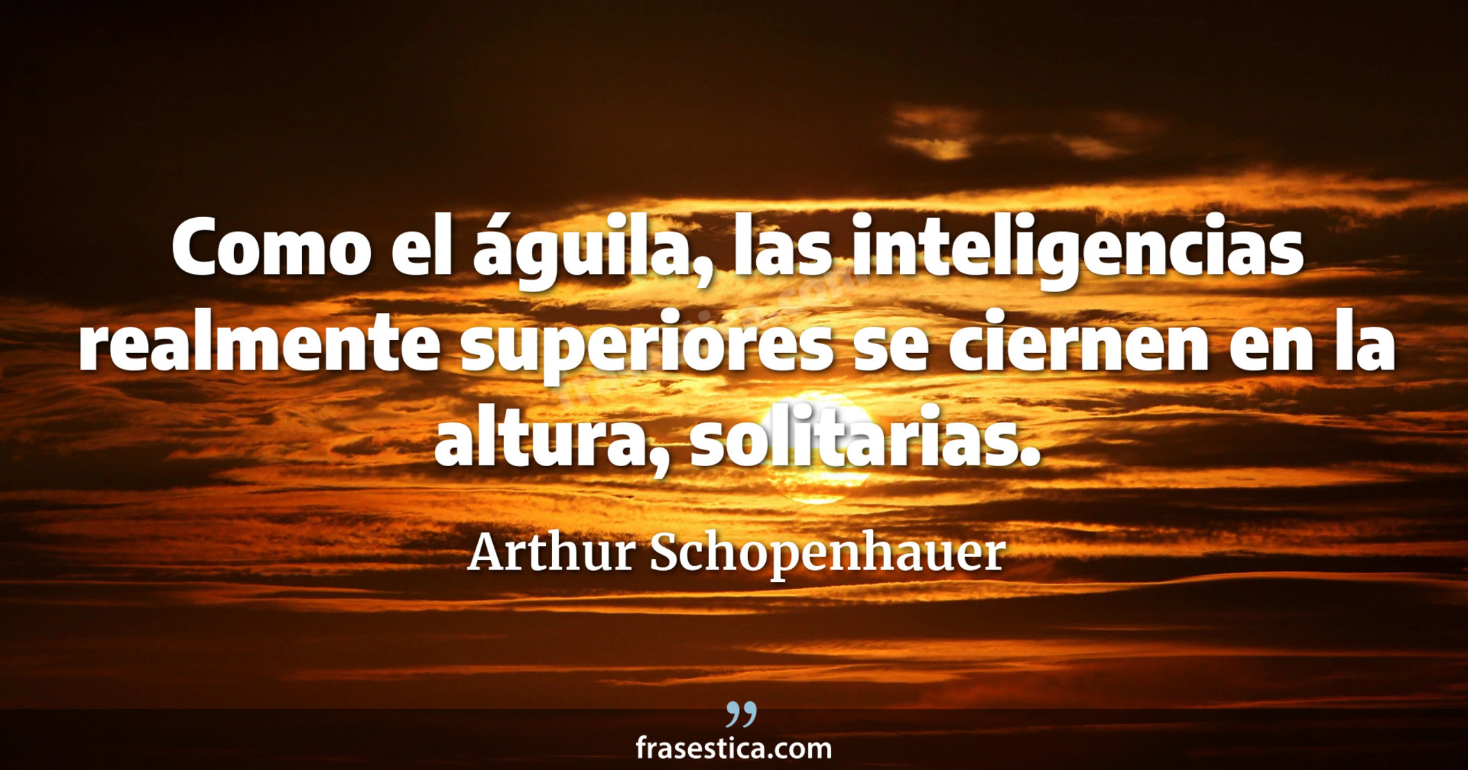 Como el águila, las inteligencias realmente superiores se ciernen en la altura, solitarias. - Arthur Schopenhauer