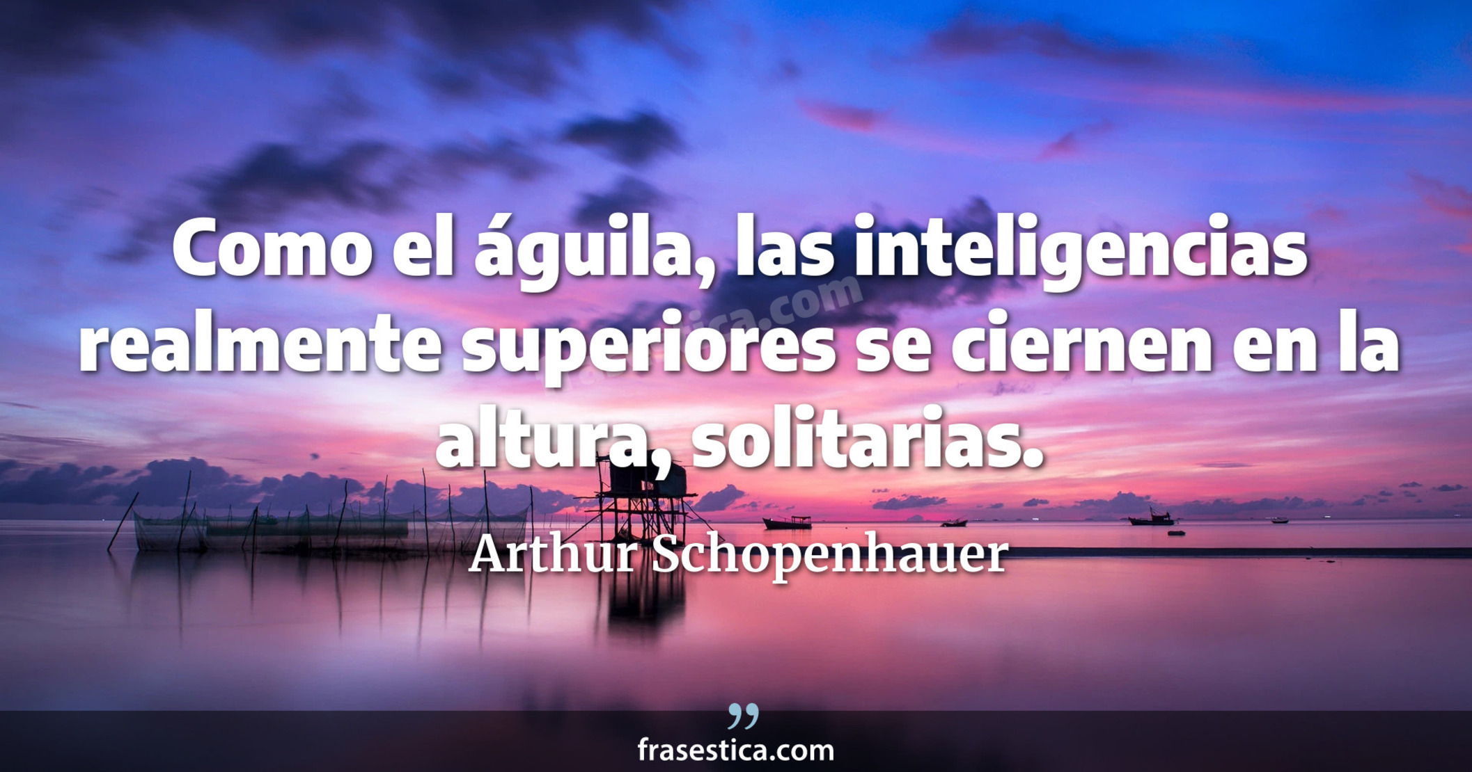 Como el águila, las inteligencias realmente superiores se ciernen en la altura, solitarias. - Arthur Schopenhauer
