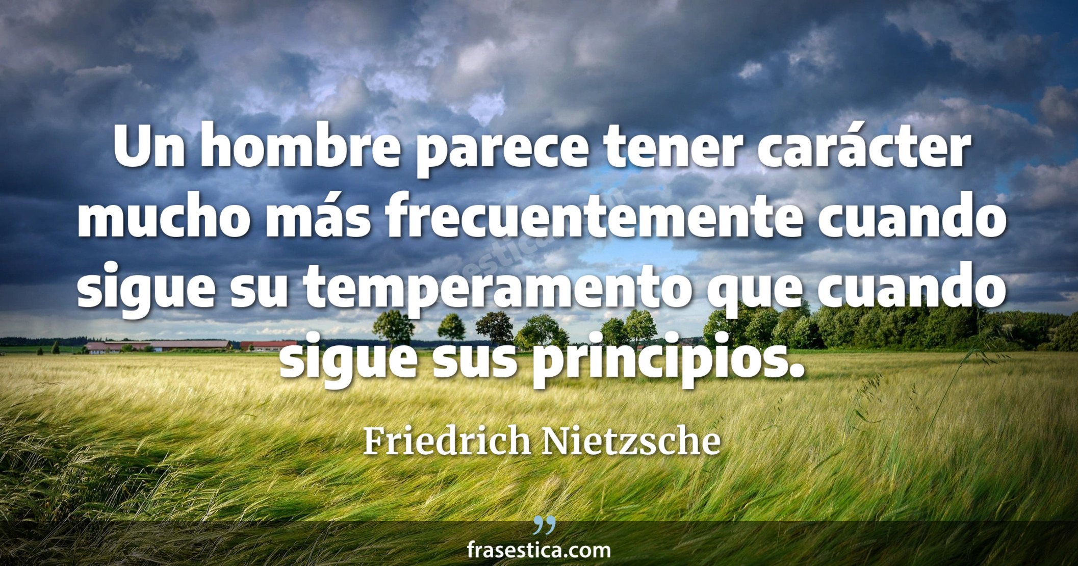 Un hombre parece tener carácter mucho más frecuentemente cuando sigue su temperamento que cuando sigue sus principios. - Friedrich Nietzsche