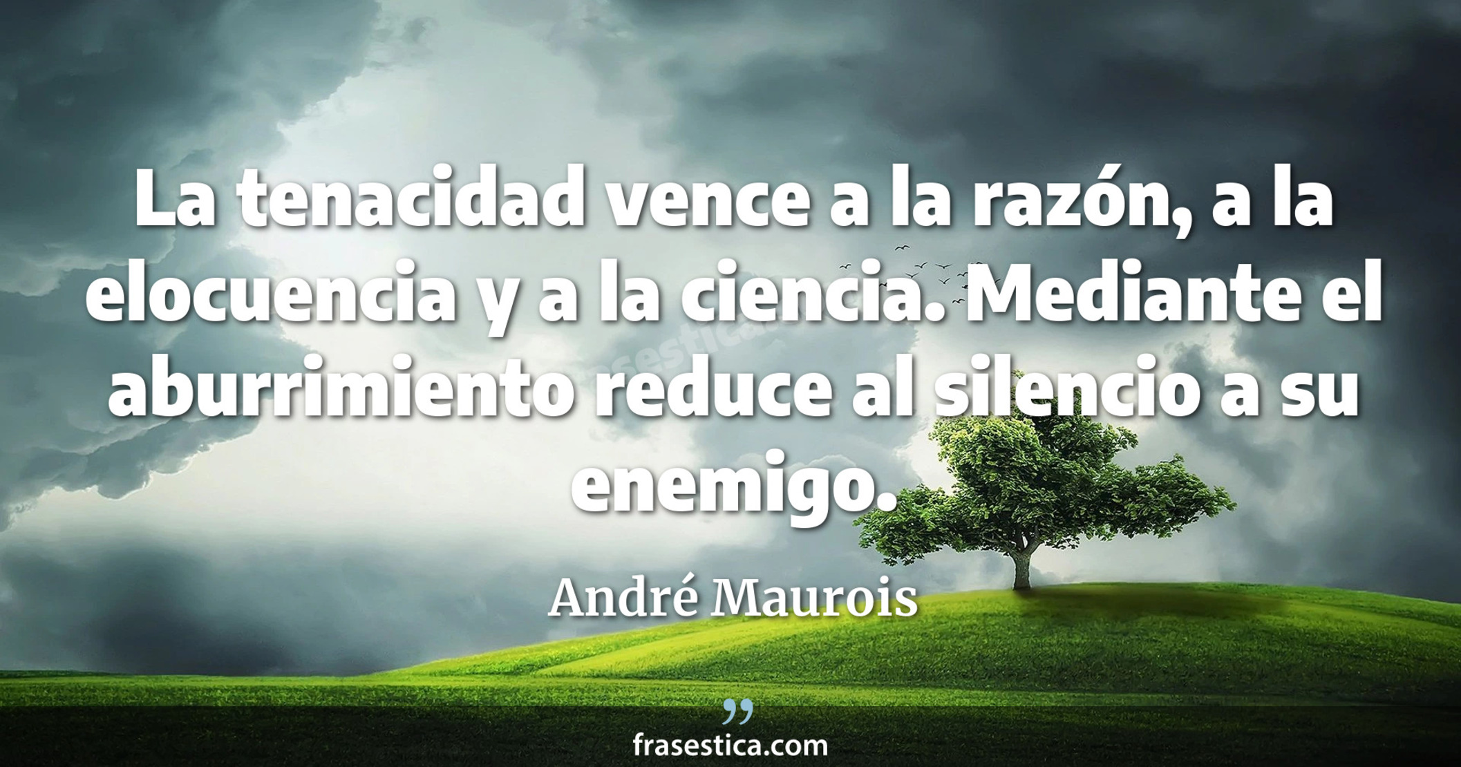 La tenacidad vence a la razón, a la elocuencia y a la ciencia. Mediante el aburrimiento reduce al silencio a su enemigo. - André Maurois