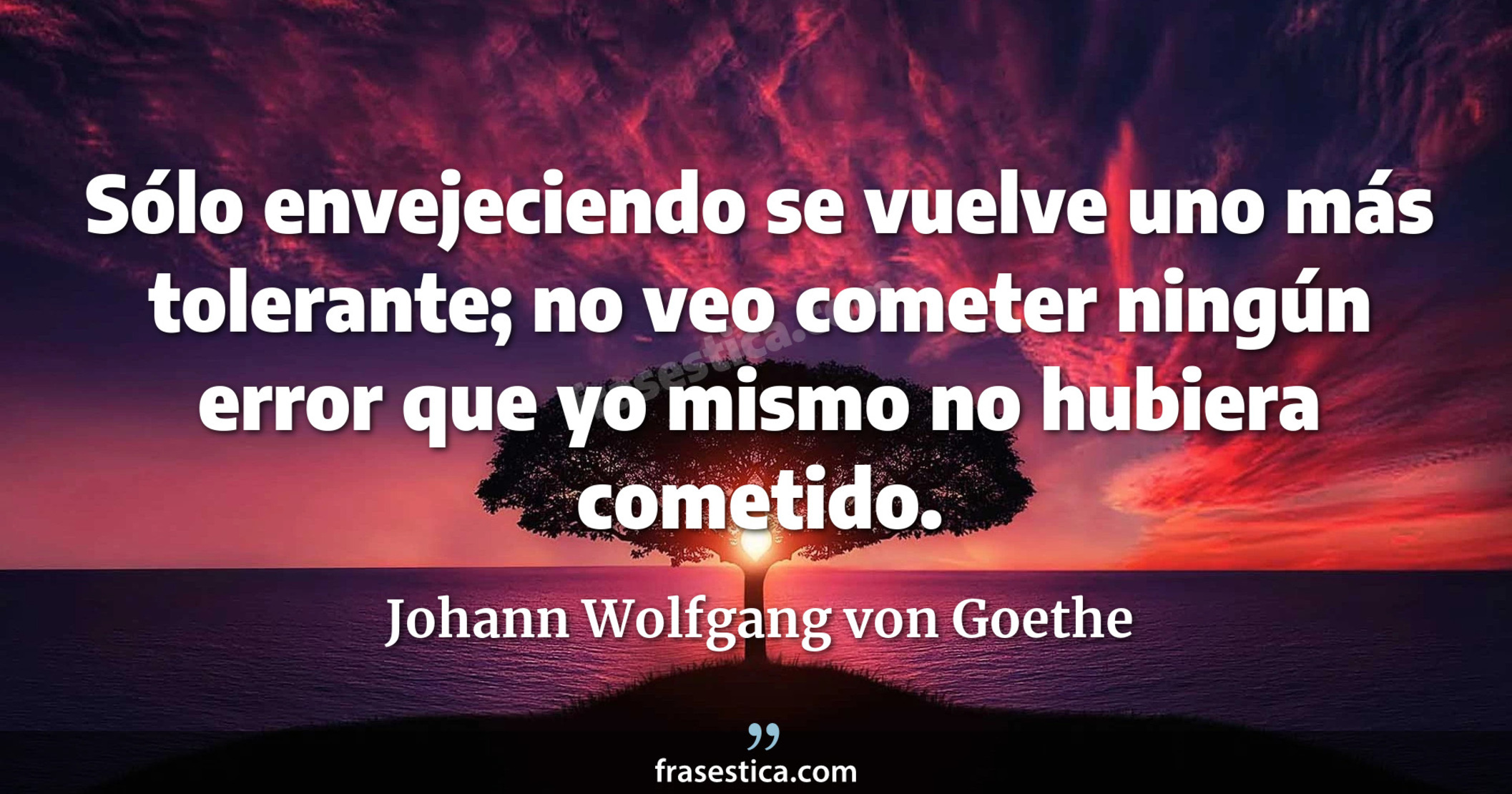 Sólo envejeciendo se vuelve uno más tolerante; no veo cometer ningún error que yo mismo no hubiera cometido. - Johann Wolfgang von Goethe