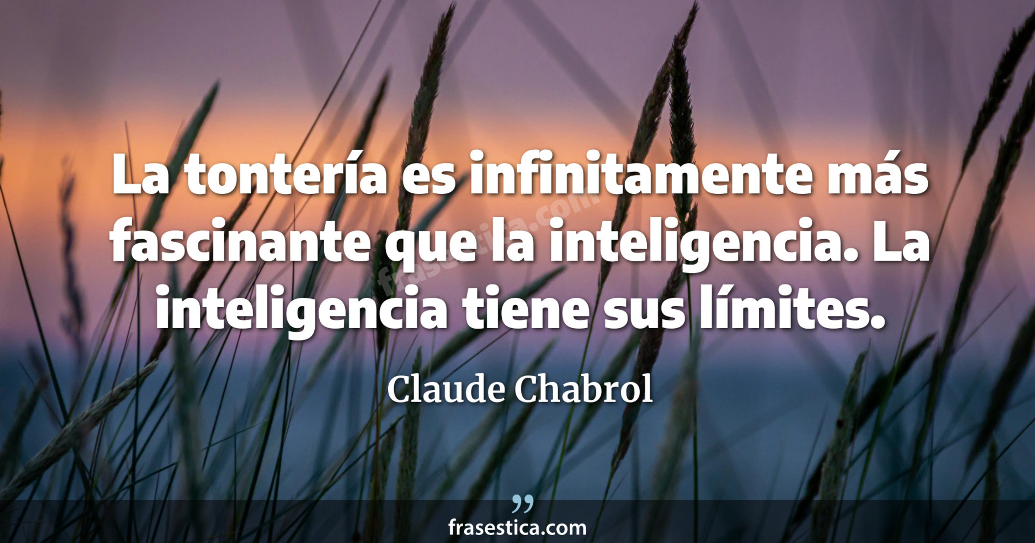 La tontería es infinitamente más fascinante que la inteligencia. La inteligencia tiene sus límites. - Claude Chabrol