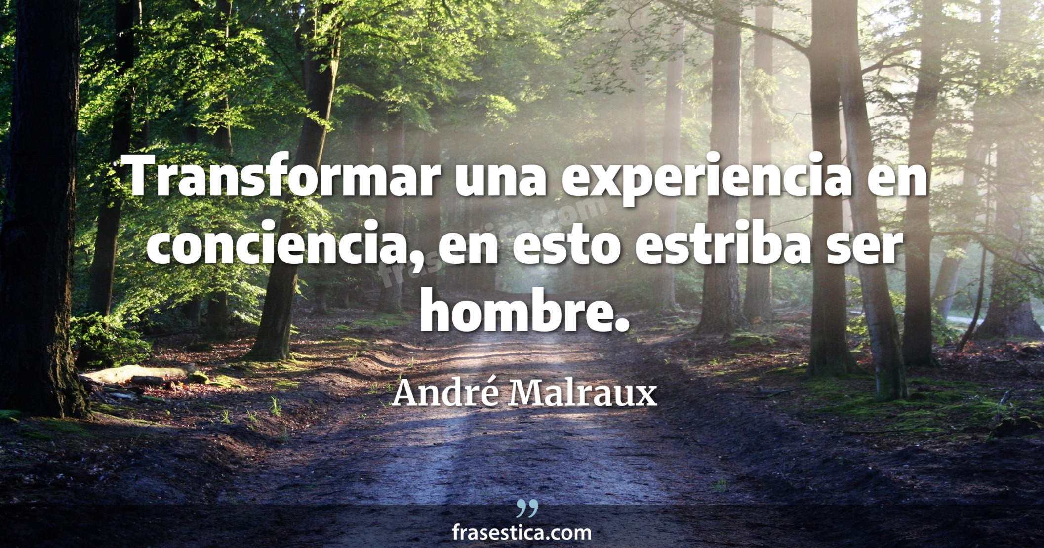 Transformar una experiencia en conciencia, en esto estriba ser hombre. - André Malraux