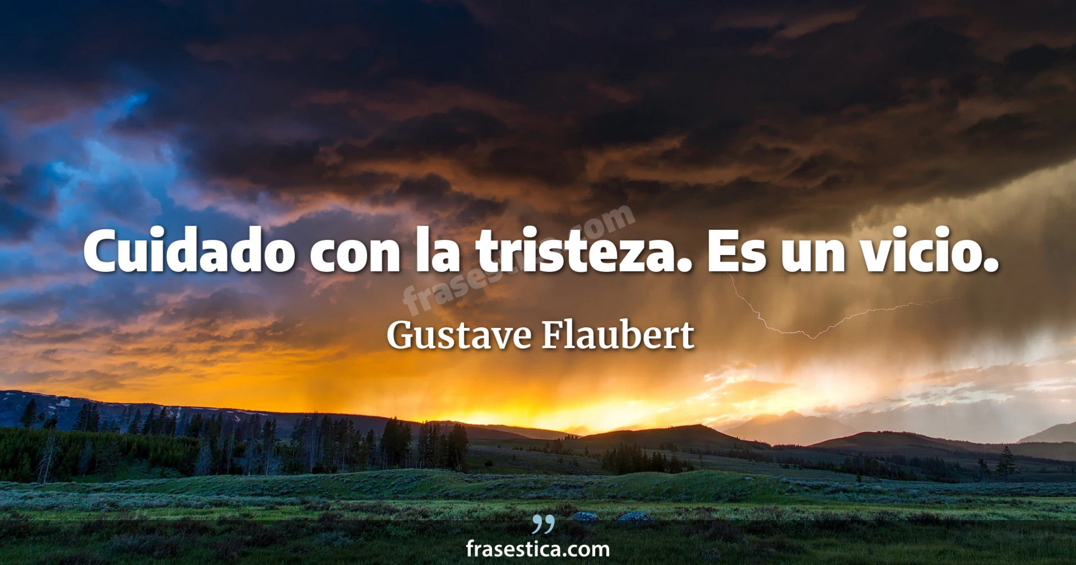 Cuidado con la tristeza. Es un vicio. - Gustave Flaubert