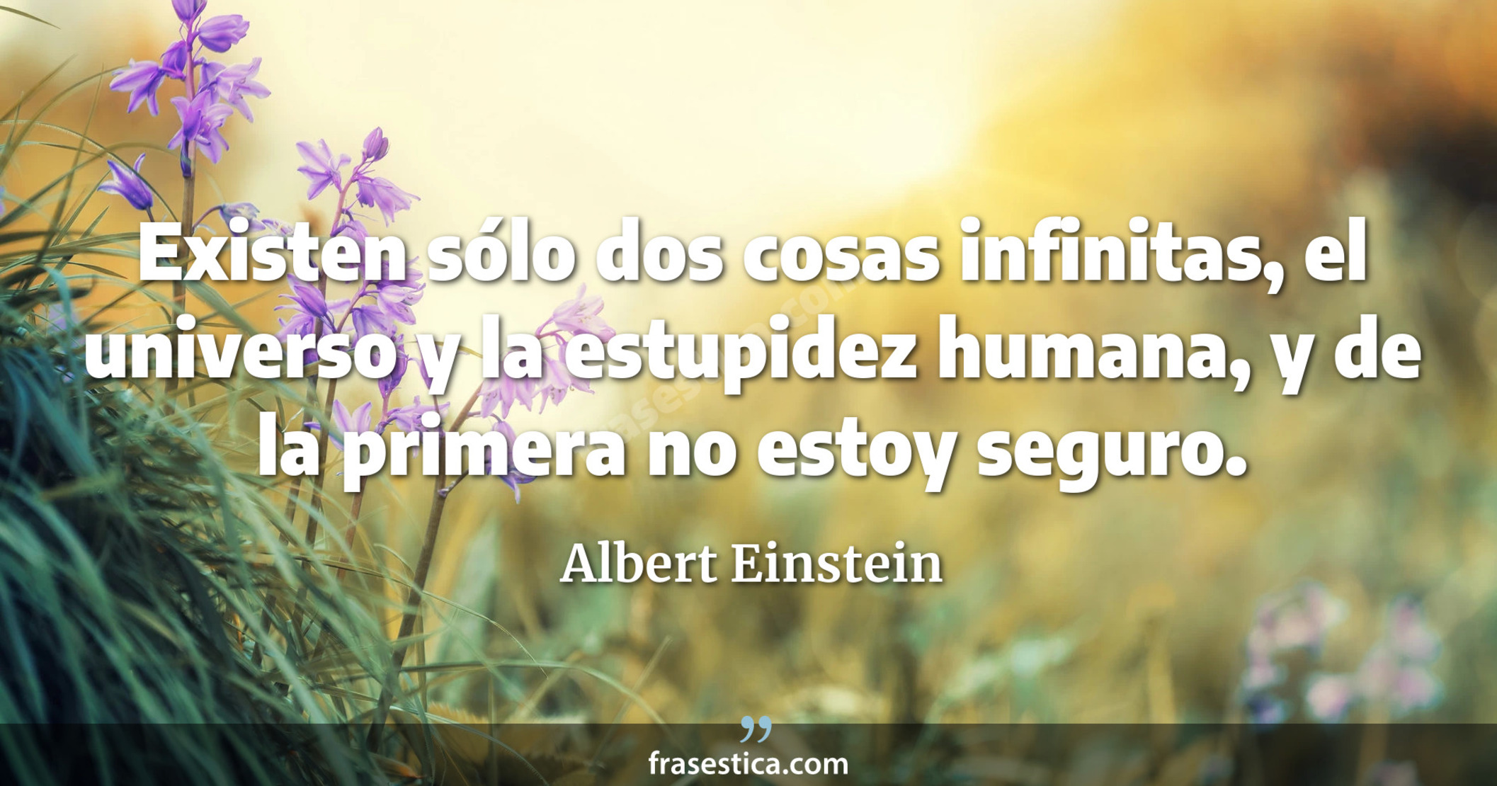 Existen sólo dos cosas infinitas, el universo y la estupidez humana, y de la primera no estoy seguro. - Albert Einstein