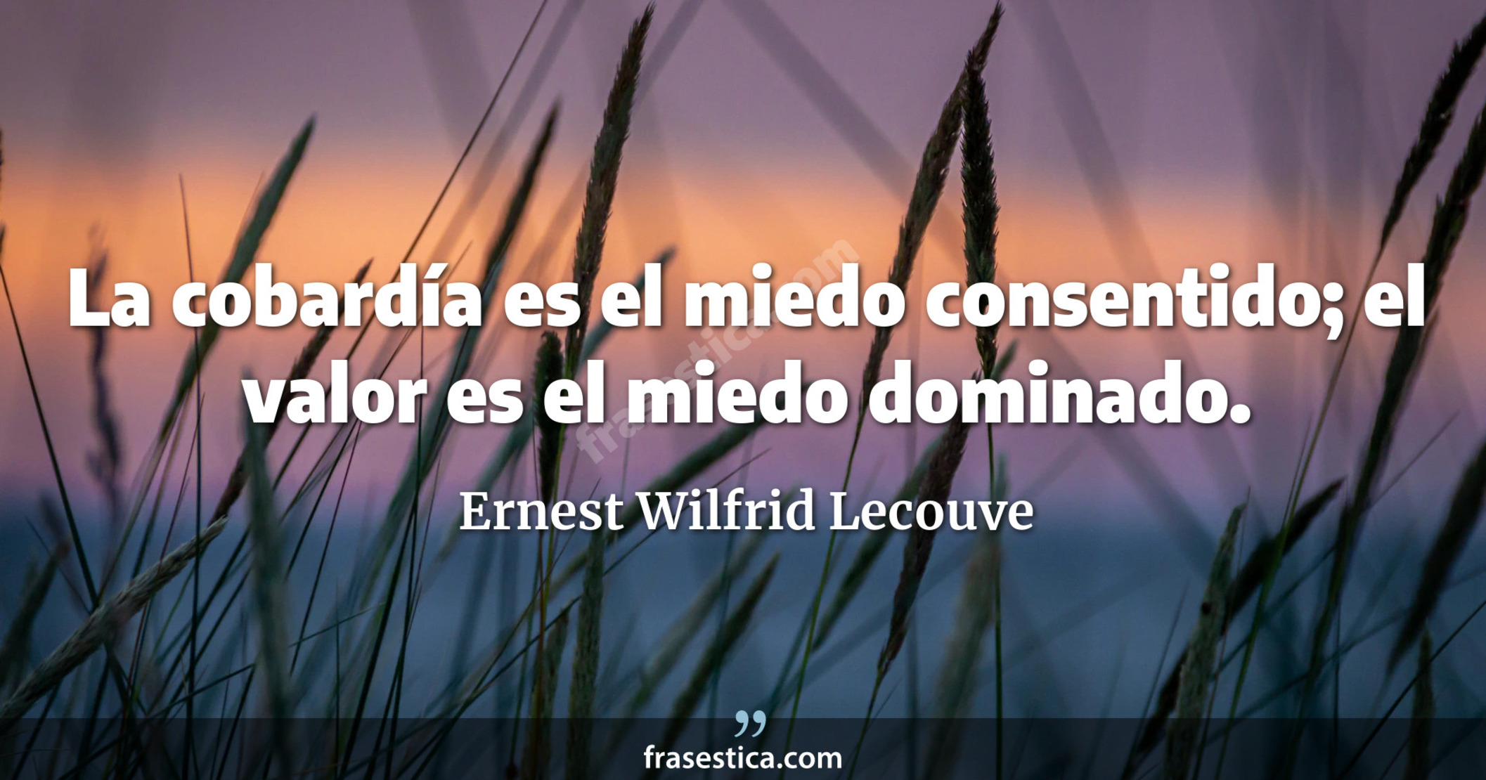 La cobardía es el miedo consentido; el valor es el miedo dominado. - Ernest Wilfrid Lecouve