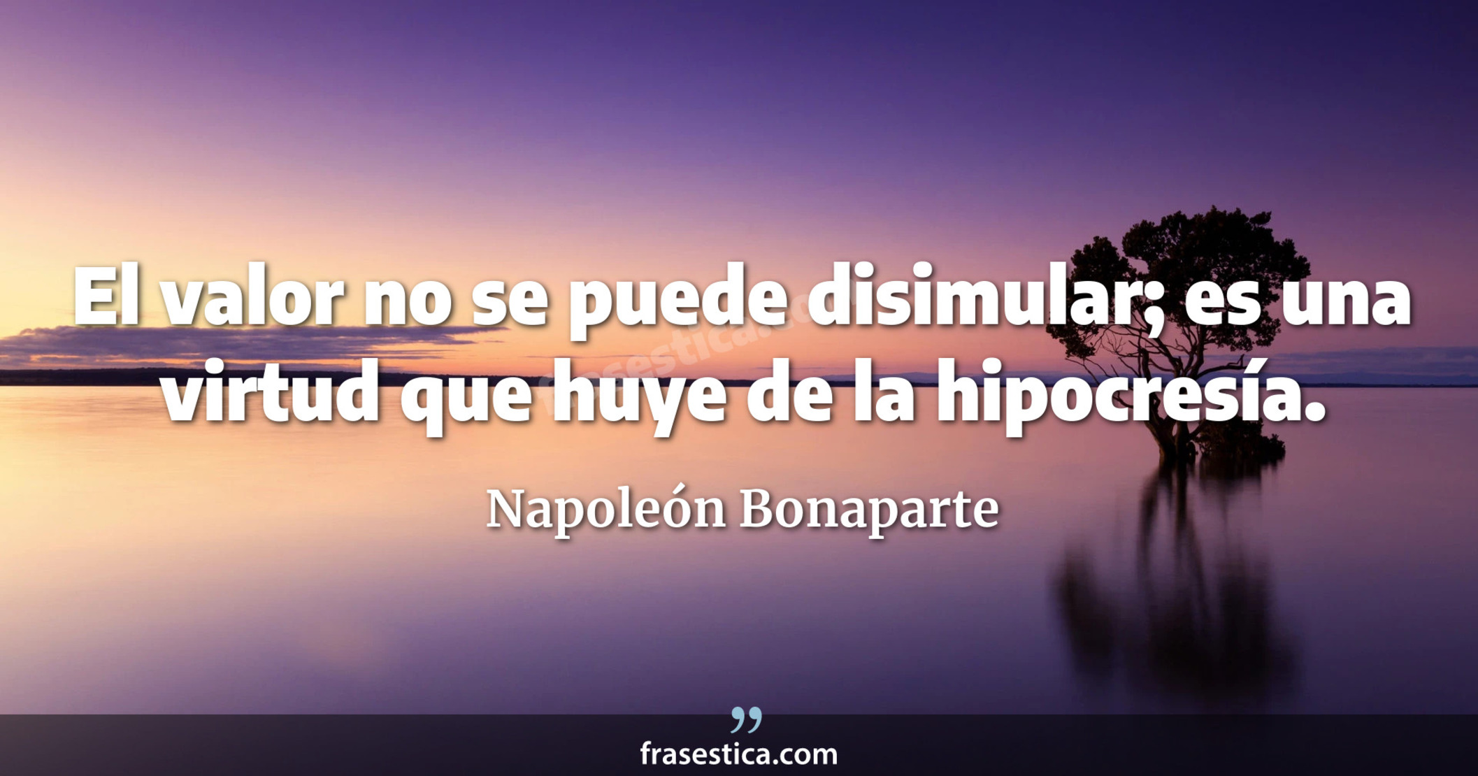 El valor no se puede disimular; es una virtud que huye de la hipocresía. - Napoleón Bonaparte