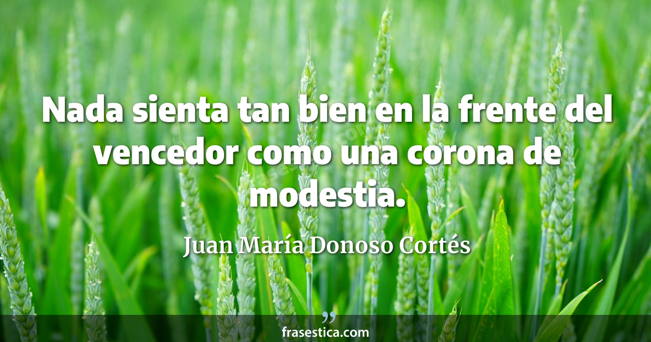 Nada sienta tan bien en la frente del vencedor como una corona de modestia. - Juan María Donoso Cortés