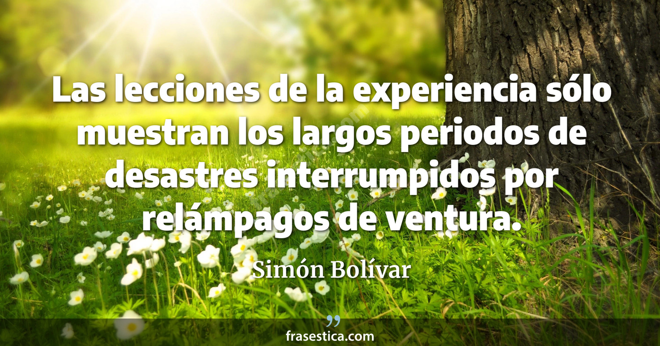 Las lecciones de la experiencia sólo muestran los largos  periodos de desastres interrumpidos por relámpagos de ventura. - Simón Bolívar