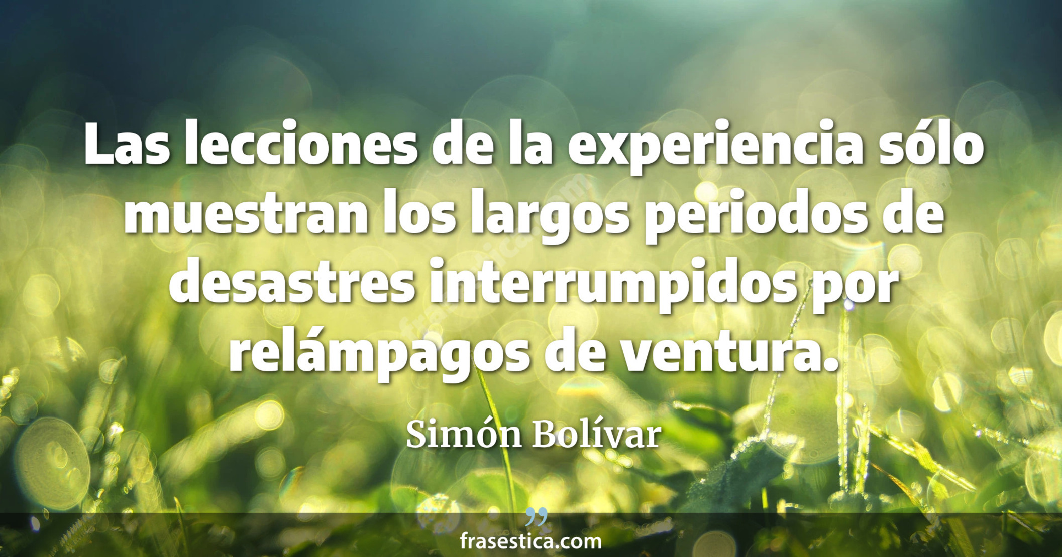 Las lecciones de la experiencia sólo muestran los largos  periodos de desastres interrumpidos por relámpagos de ventura. - Simón Bolívar