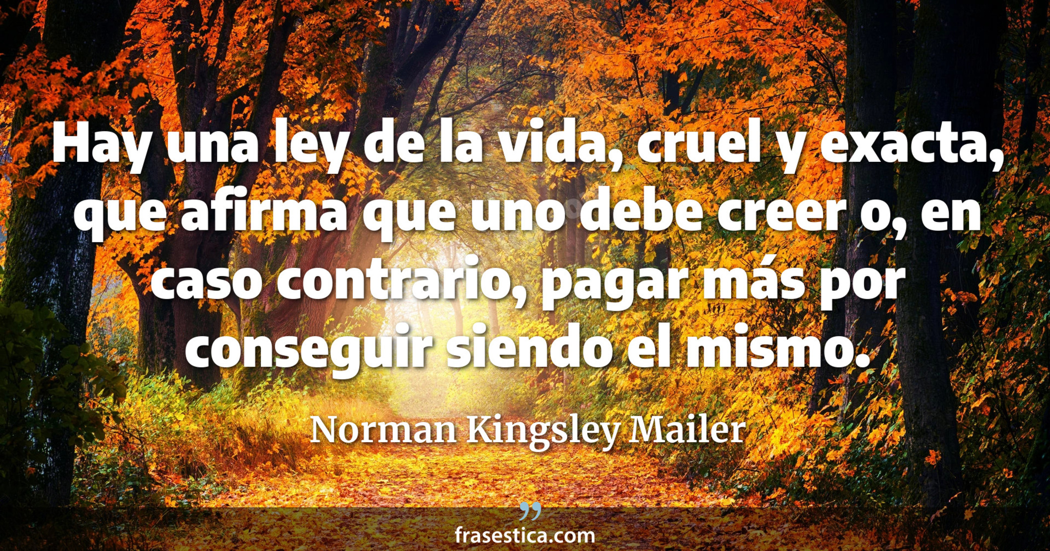 Hay una ley de la vida, cruel y exacta, que afirma que uno debe creer o, en caso contrario, pagar más por conseguir siendo el mismo. - Norman Kingsley Mailer