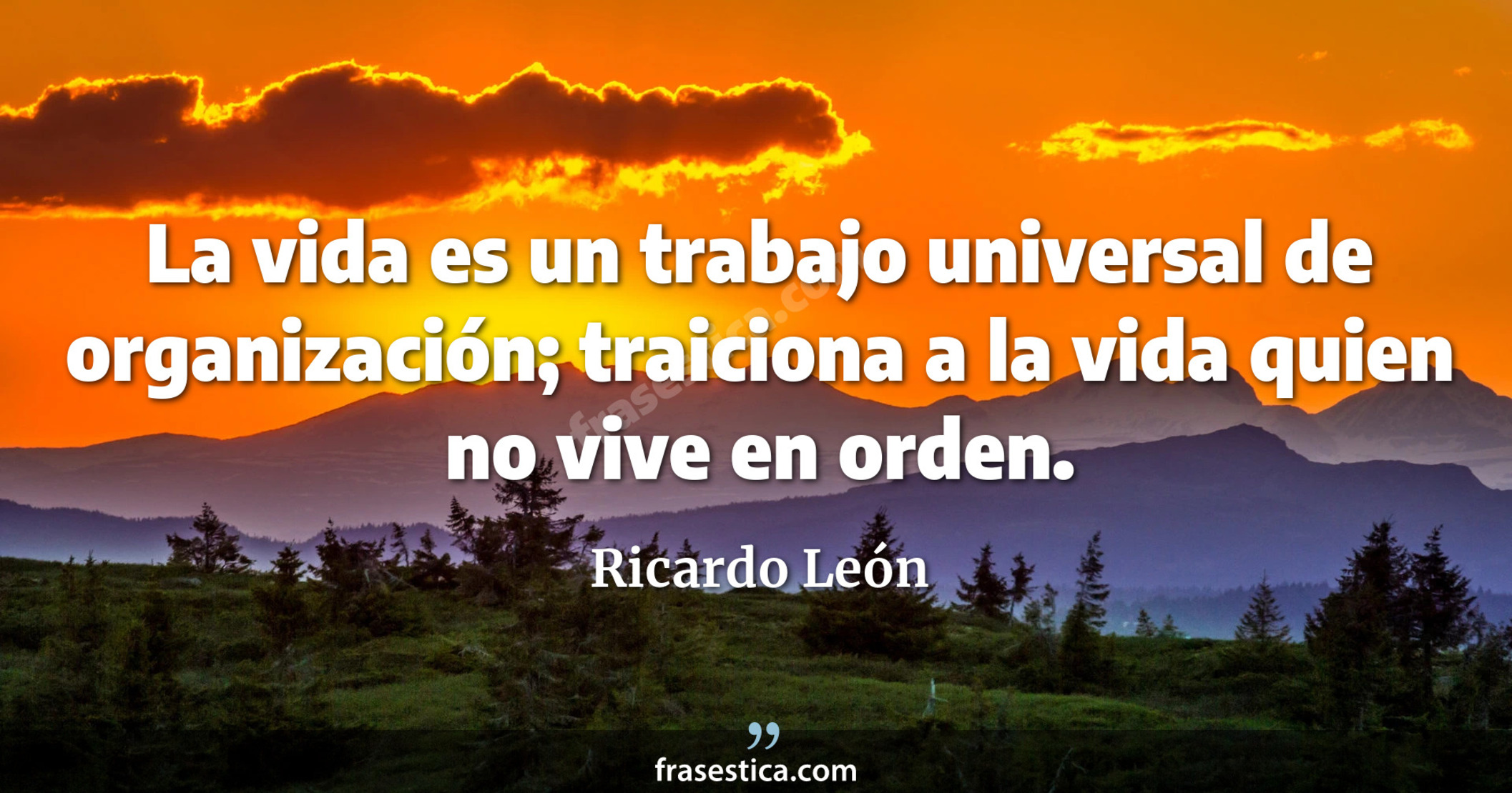 La vida es un trabajo universal de organización; traiciona a la vida quien no vive en orden. - Ricardo León
