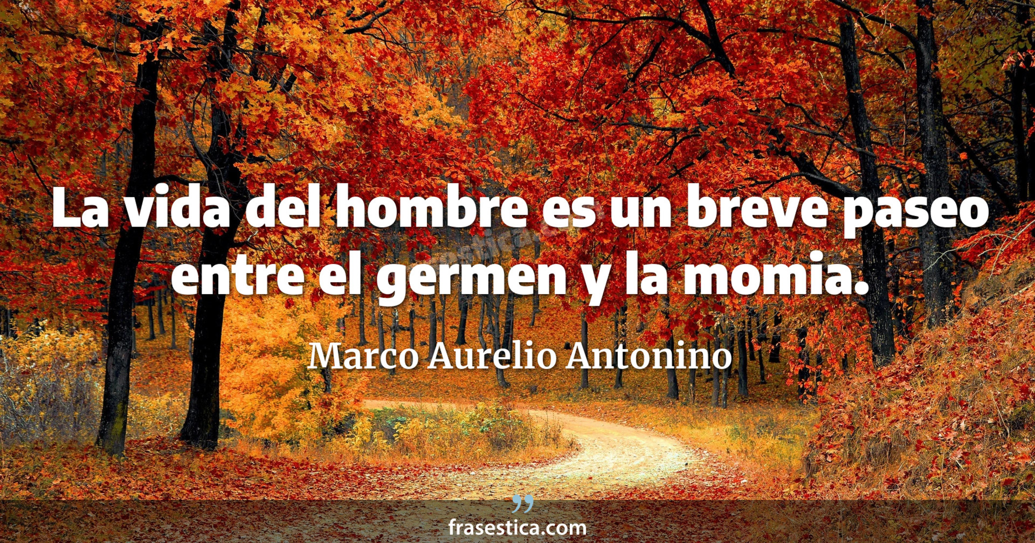 La vida del hombre es un breve paseo entre el germen y la momia. - Marco Aurelio Antonino