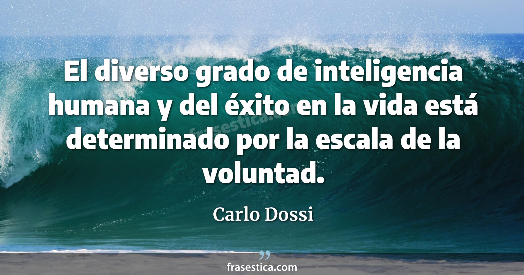 El diverso grado de inteligencia humana y del éxito en la vida está determinado por la escala de la voluntad. - Carlo Dossi