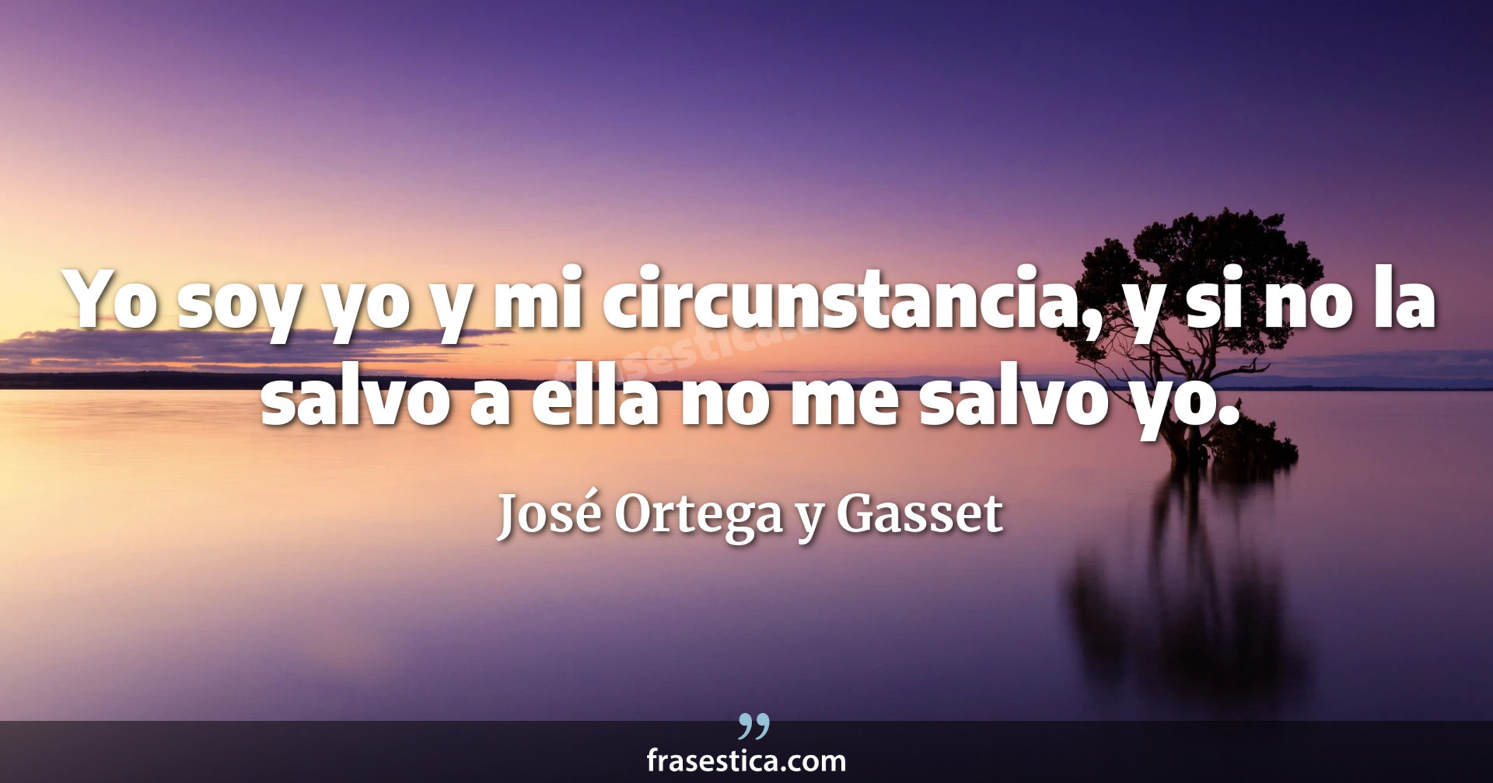 Yo soy yo y mi circunstancia, y si no la salvo a ella no me salvo yo. - José Ortega y Gasset