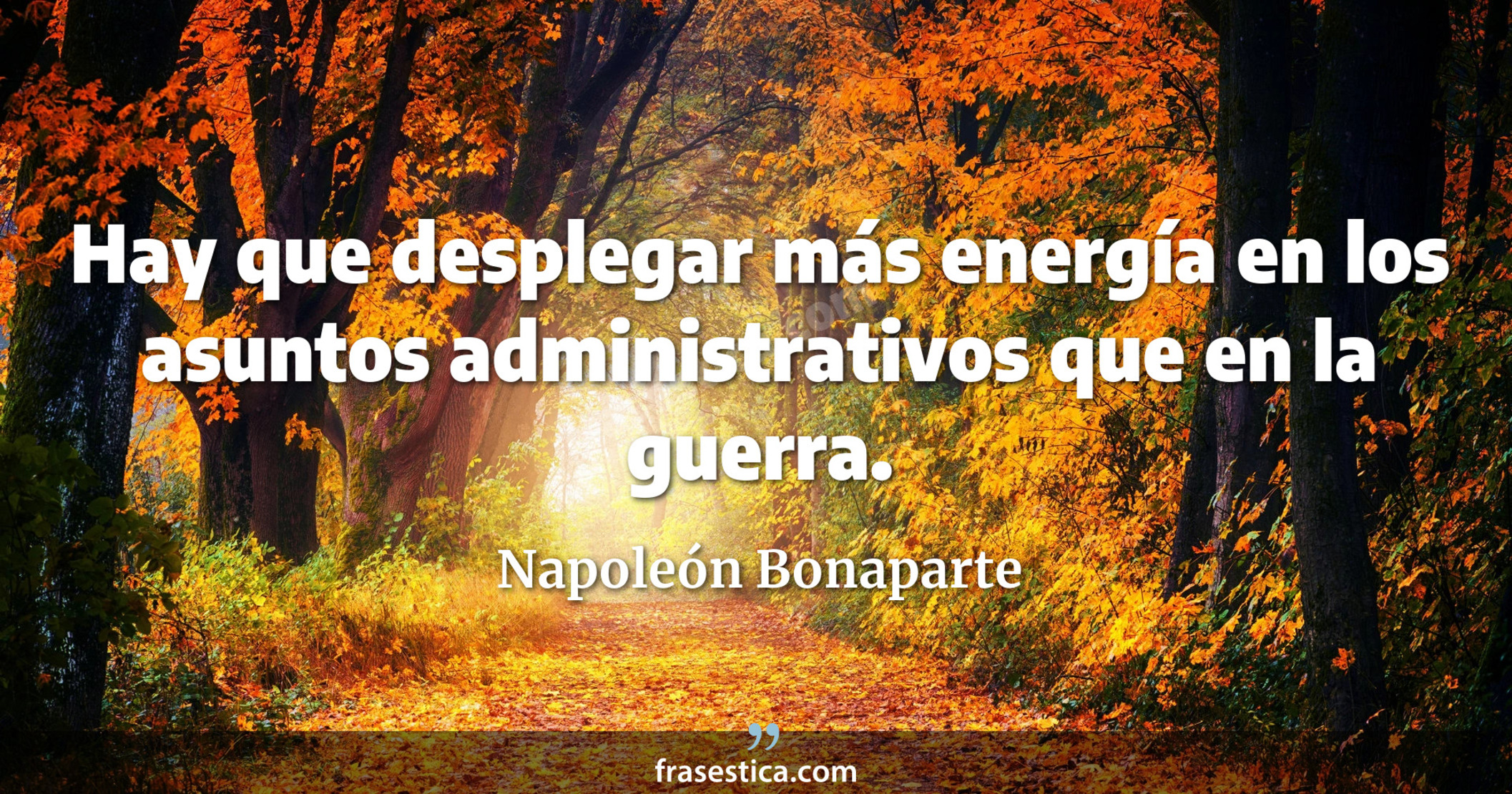 Hay que desplegar más energía en los asuntos administrativos que en la guerra. - Napoleón Bonaparte