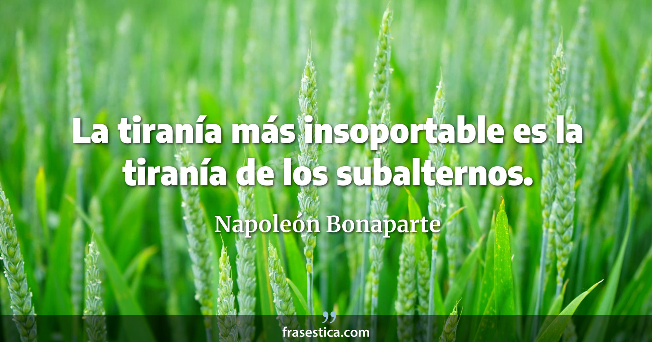 La tiranía más insoportable es la tiranía de los subalternos. - Napoleón Bonaparte