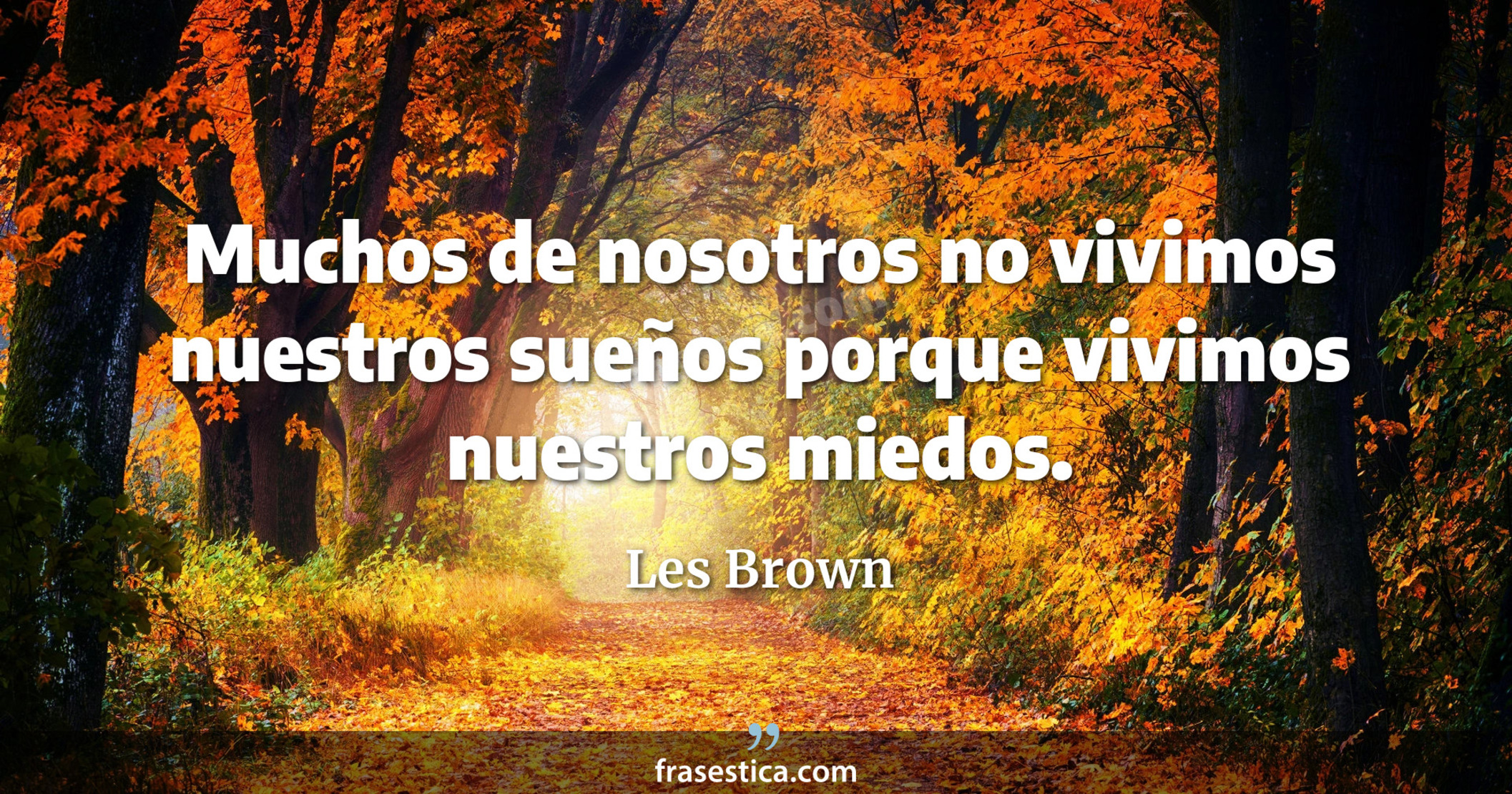 Muchos de nosotros no vivimos nuestros sueños porque vivimos nuestros miedos. - Les Brown