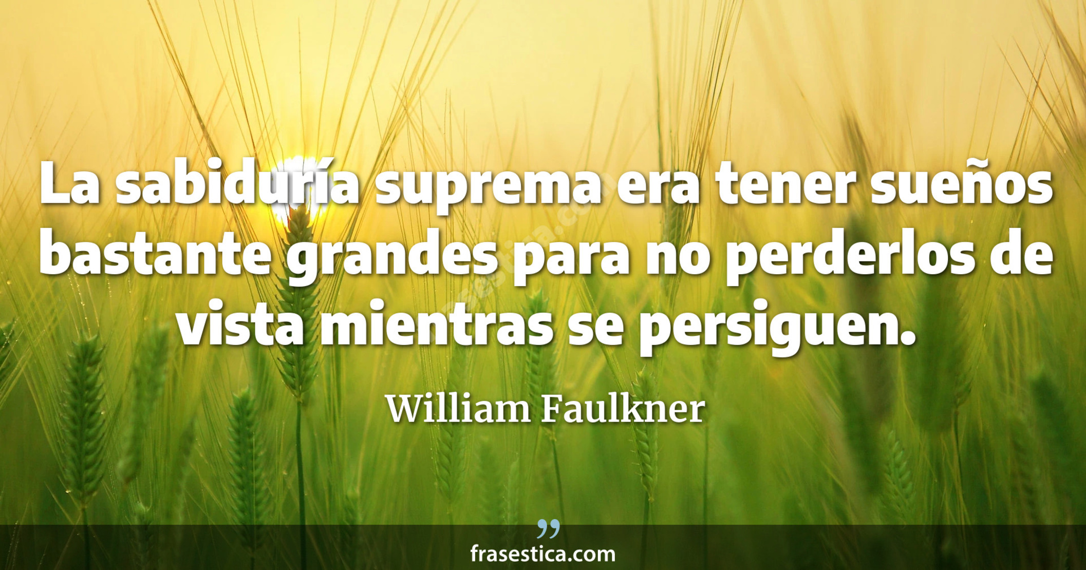 La sabiduría suprema era tener sueños bastante grandes para no perderlos de vista mientras se persiguen. - William Faulkner