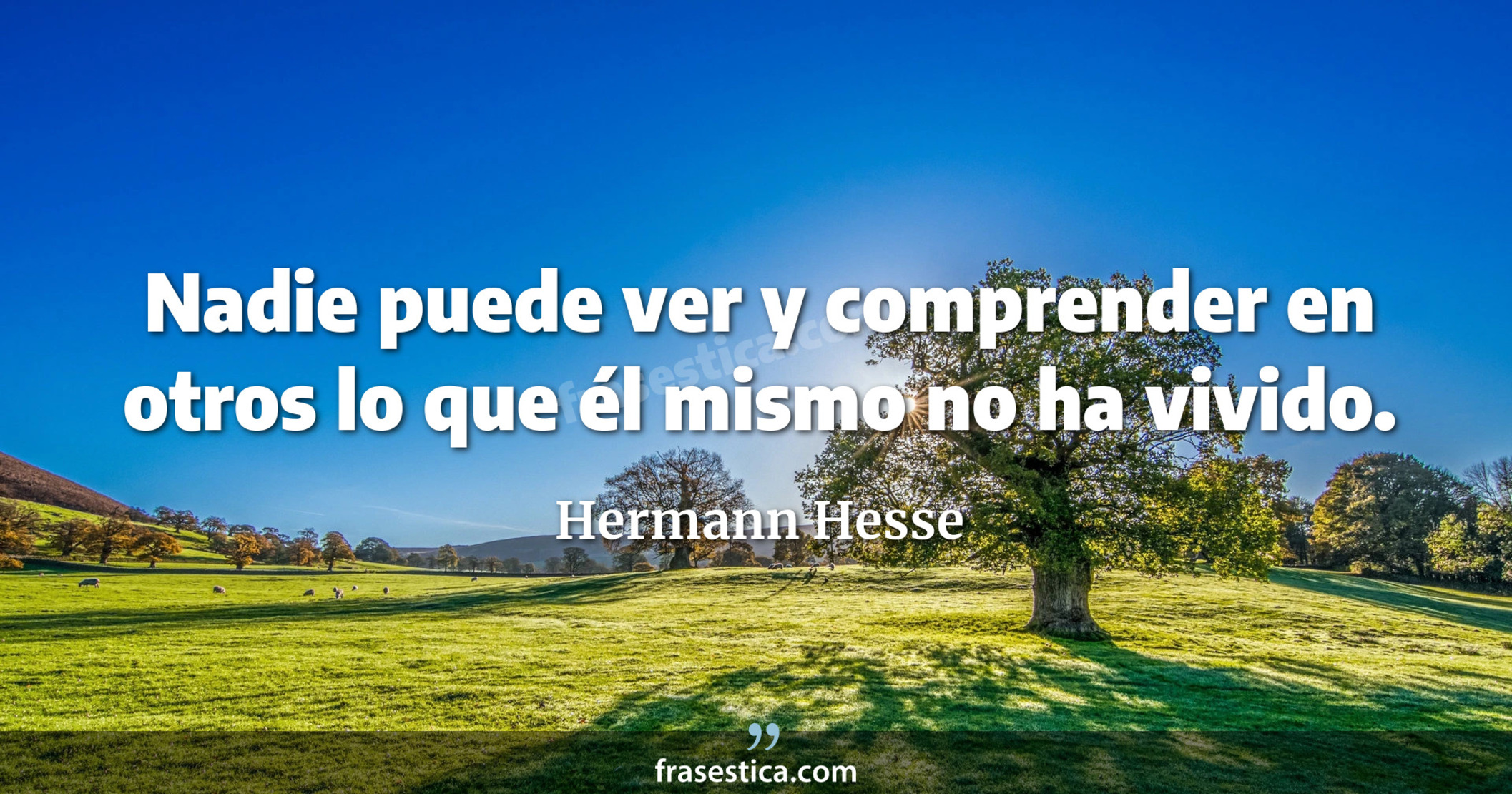 Nadie puede ver y comprender en otros lo que él mismo no ha vivido. - Hermann Hesse