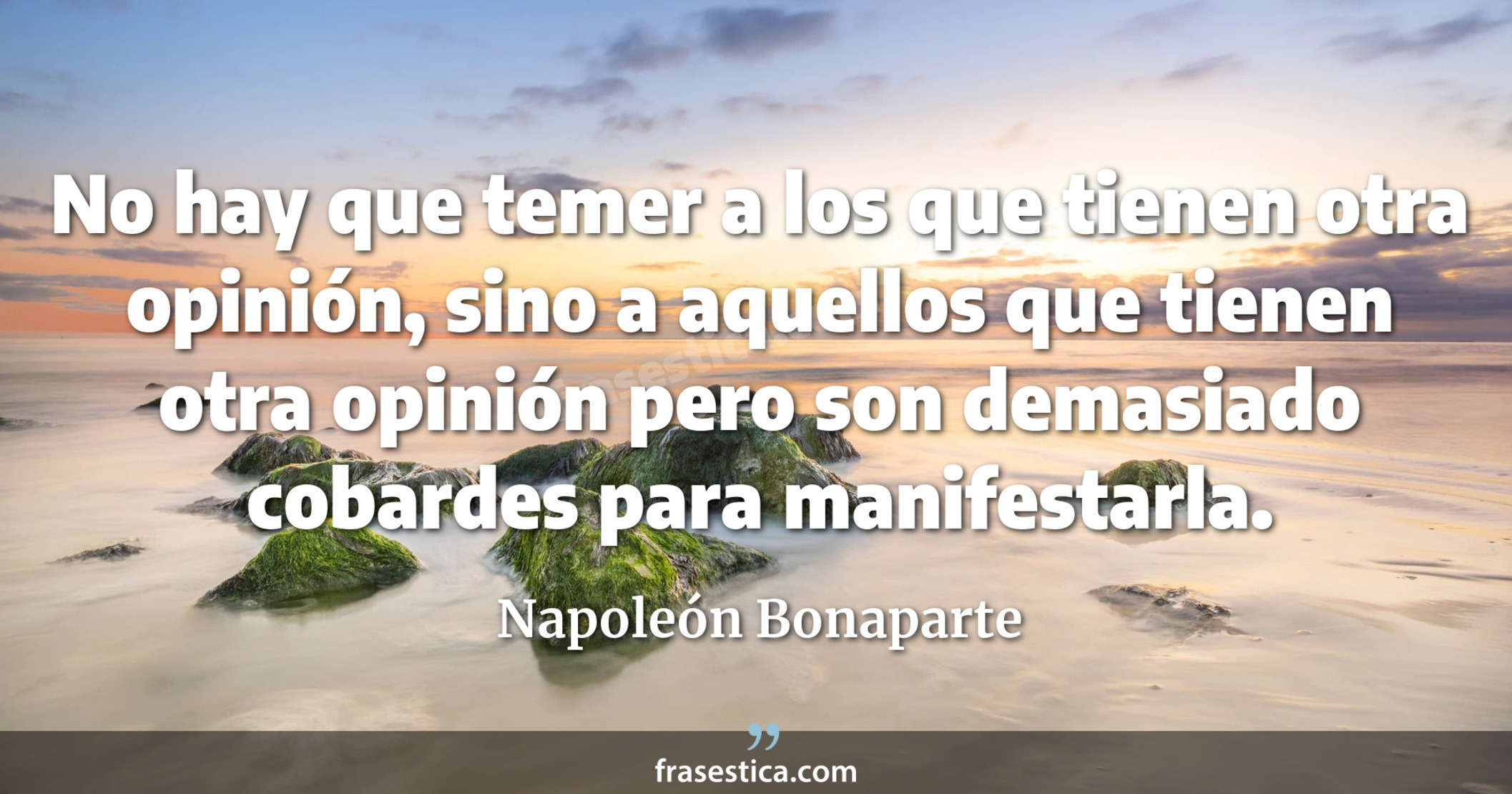 No hay que temer a los que tienen otra opinión, sino a aquellos que tienen otra opinión pero son demasiado cobardes para manifestarla. - Napoleón Bonaparte