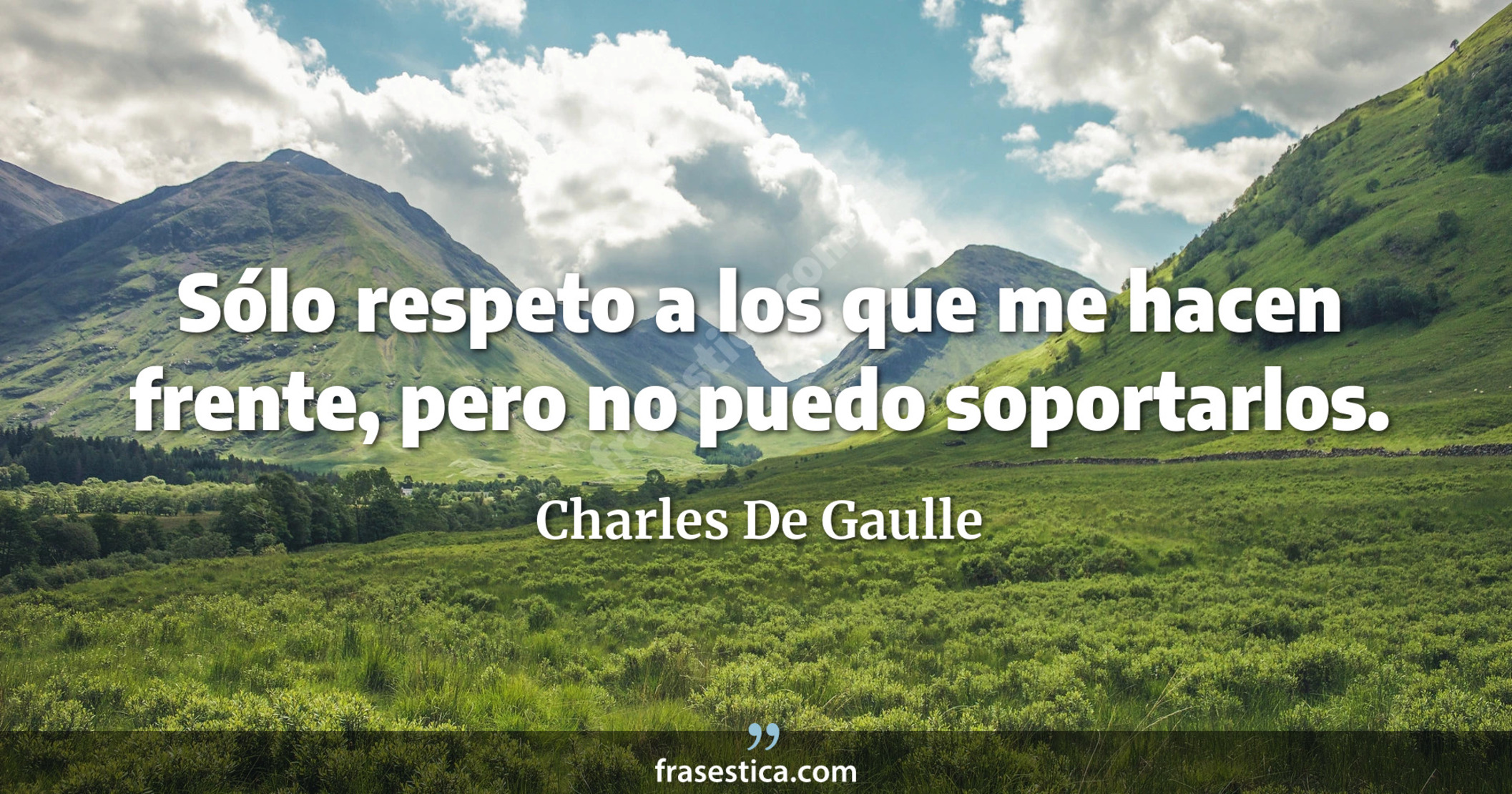Sólo respeto a los que me hacen frente, pero no puedo soportarlos. - Charles De Gaulle