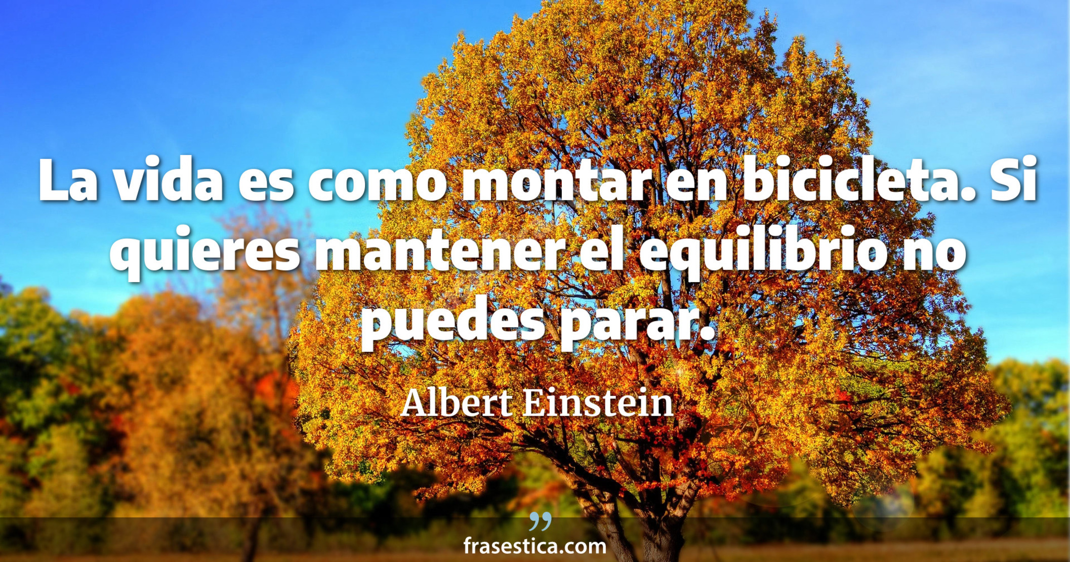 La vida es como montar en bicicleta. Si quieres mantener el equilibrio no puedes parar. - Albert Einstein