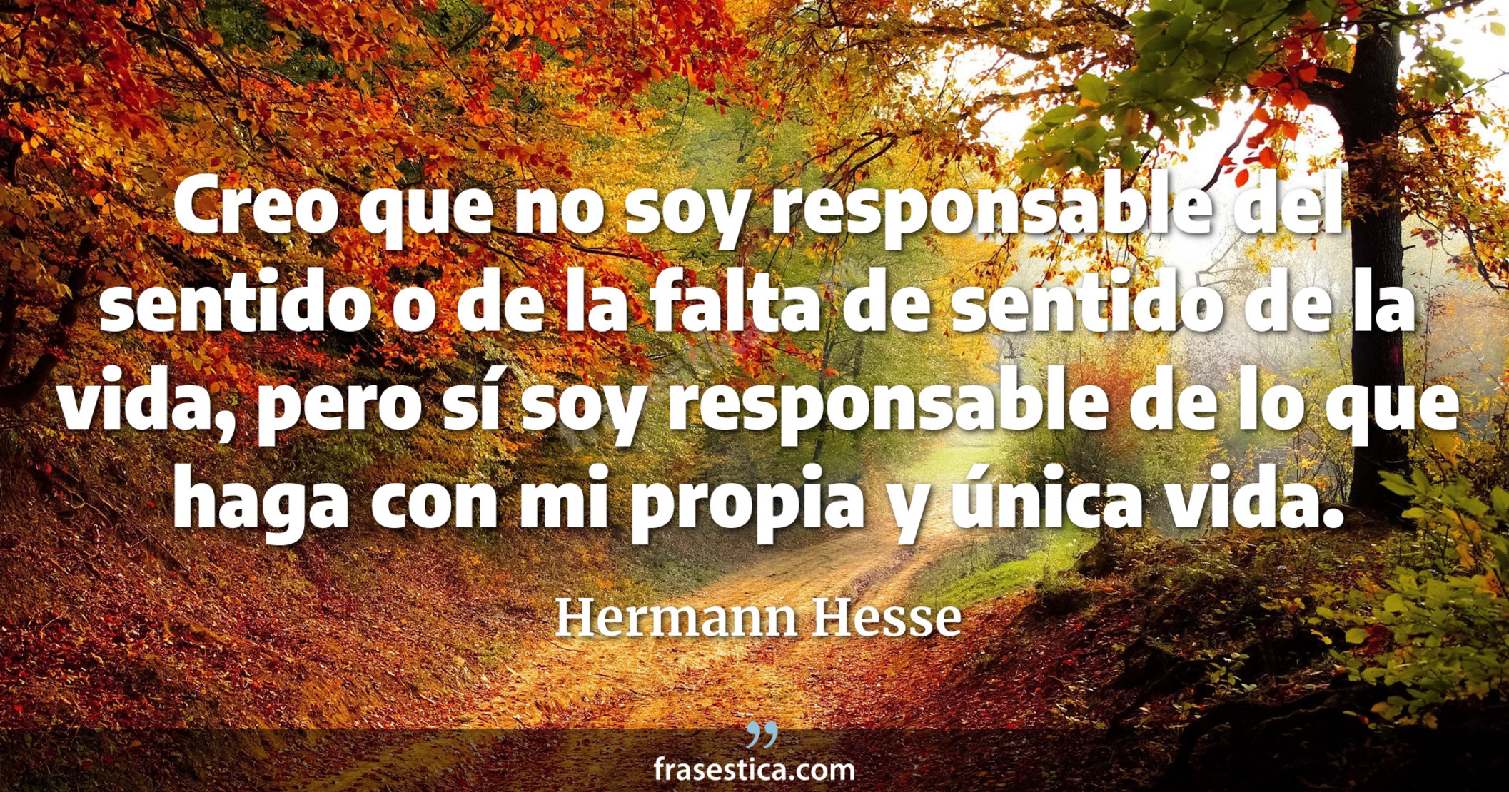 Creo que no soy responsable del sentido o de la falta de sentido de la vida, pero sí soy responsable de lo que haga con mi propia y única vida. - Hermann Hesse