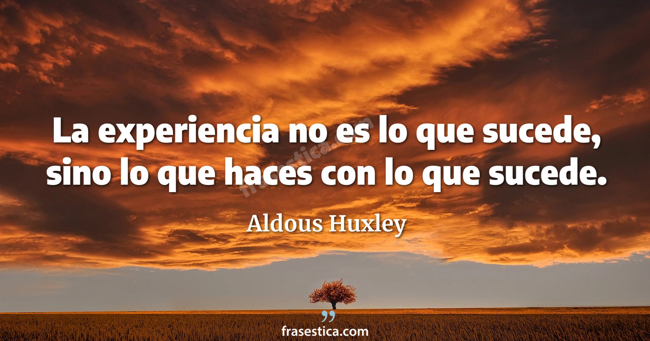 La experiencia no es lo que sucede, sino lo que haces con lo que sucede. - Aldous Huxley