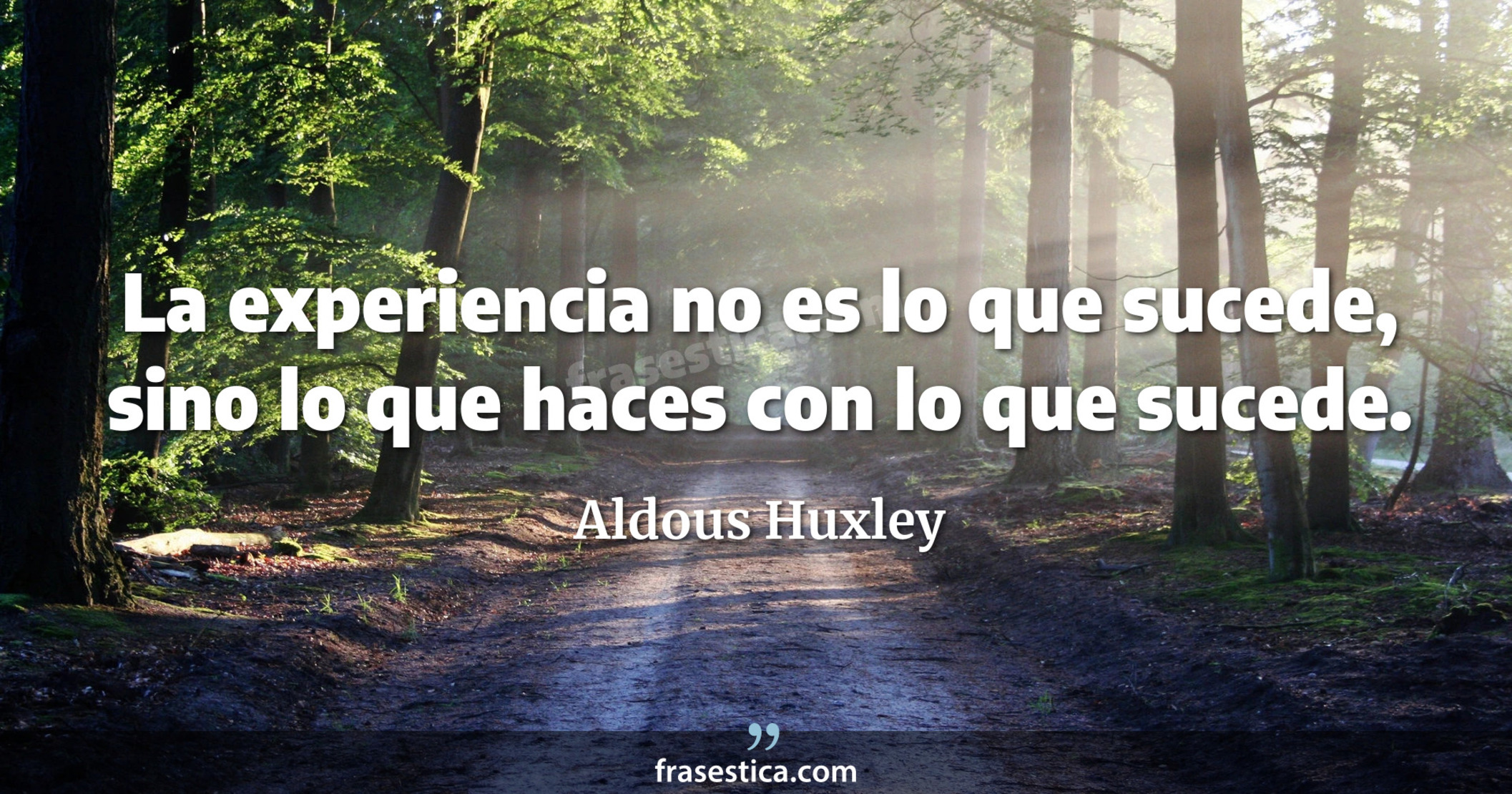 La experiencia no es lo que sucede, sino lo que haces con lo que sucede. - Aldous Huxley