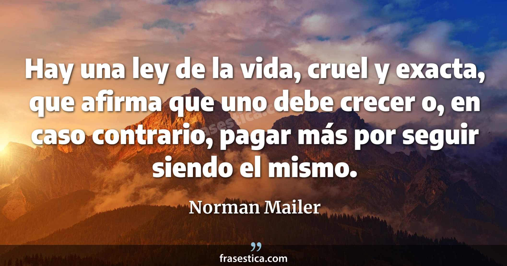 Hay una ley de la vida, cruel y exacta, que afirma que uno debe crecer o, en caso contrario, pagar más por seguir siendo el mismo. - Norman Mailer