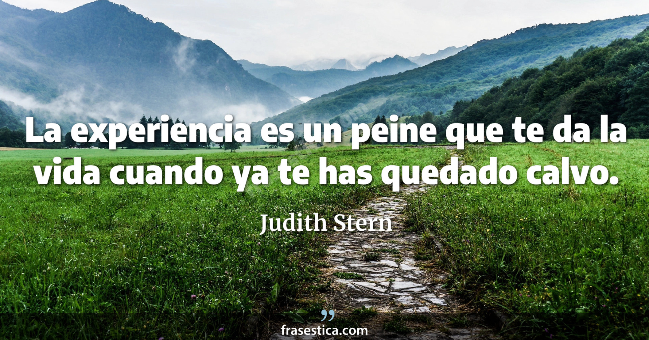 La experiencia es un peine que te da la vida cuando ya te has quedado calvo. - Judith Stern