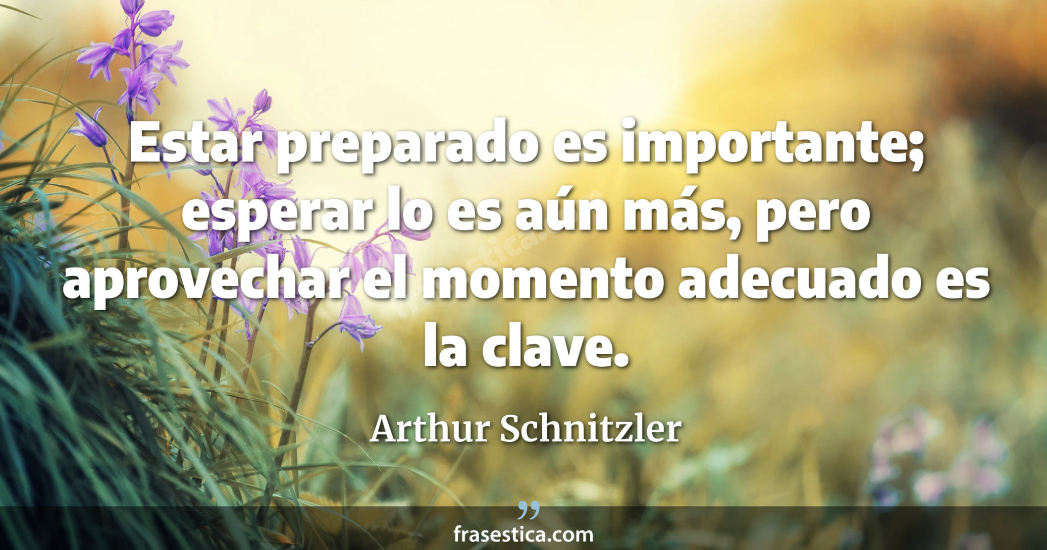 Estar preparado es importante; esperar lo es aún más, pero aprovechar el momento adecuado es la clave. - Arthur Schnitzler