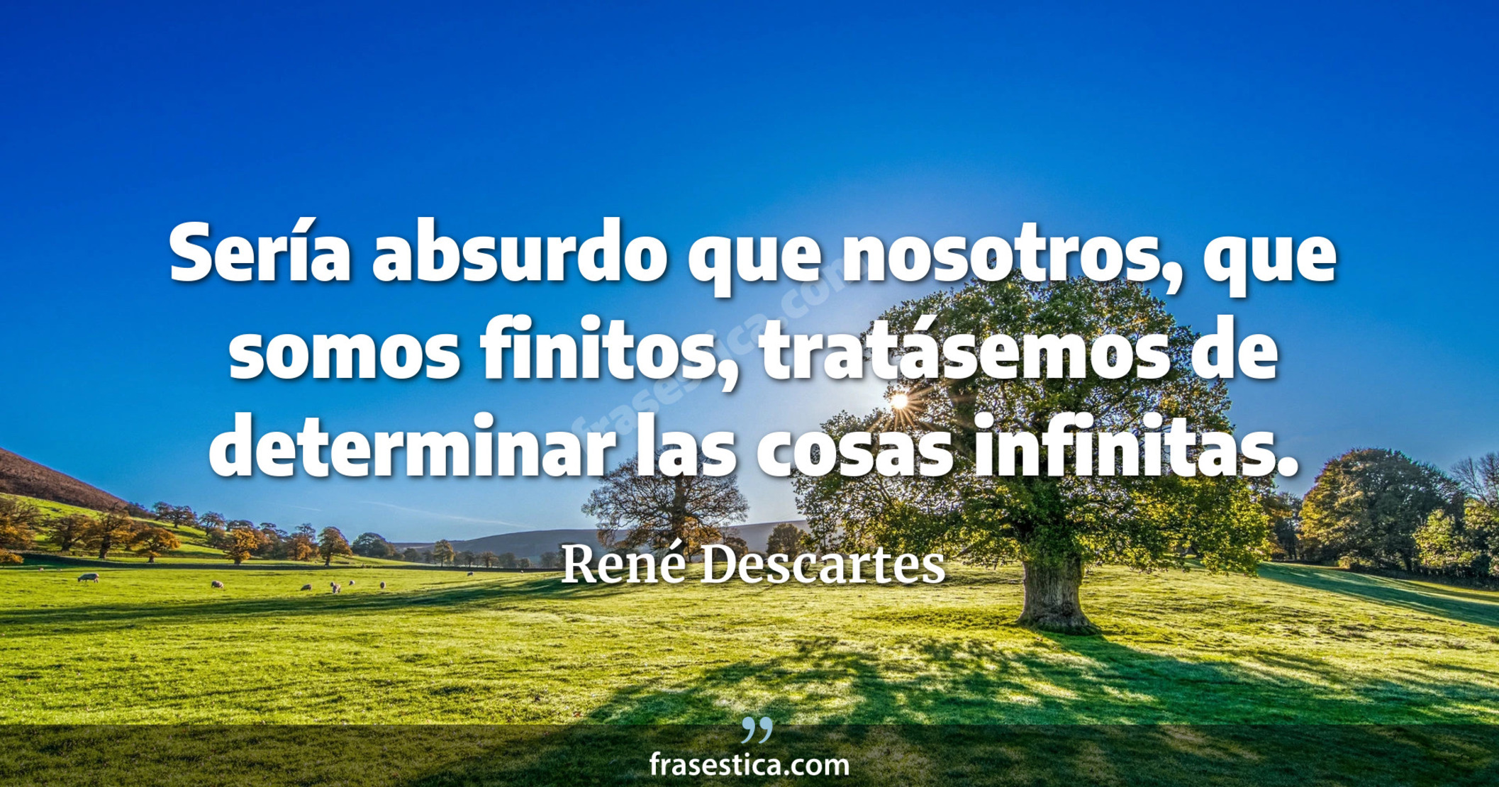 Sería absurdo que nosotros, que somos finitos, tratásemos de determinar las cosas infinitas. - René Descartes