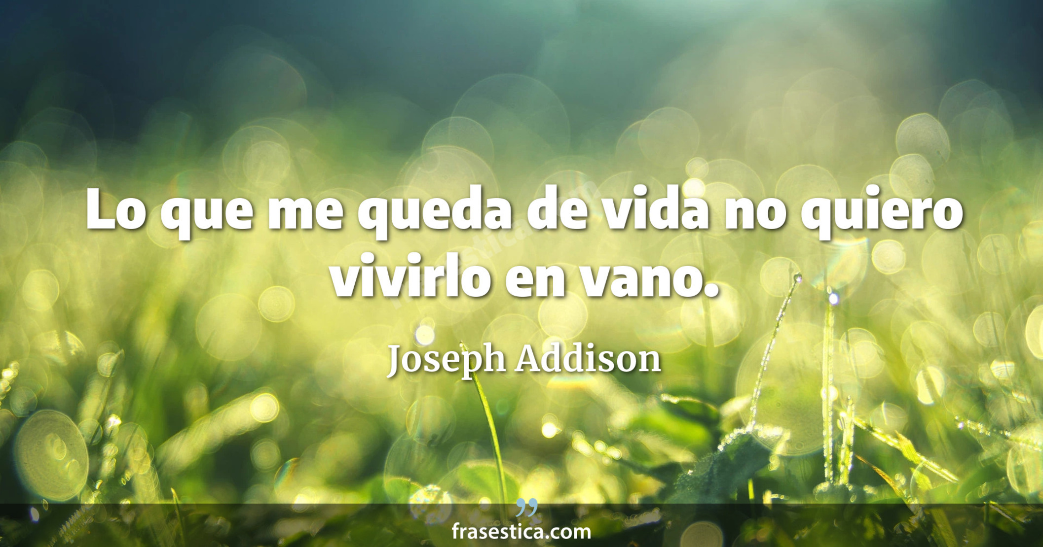 Lo que me queda de vida no quiero vivirlo en vano. - Joseph Addison