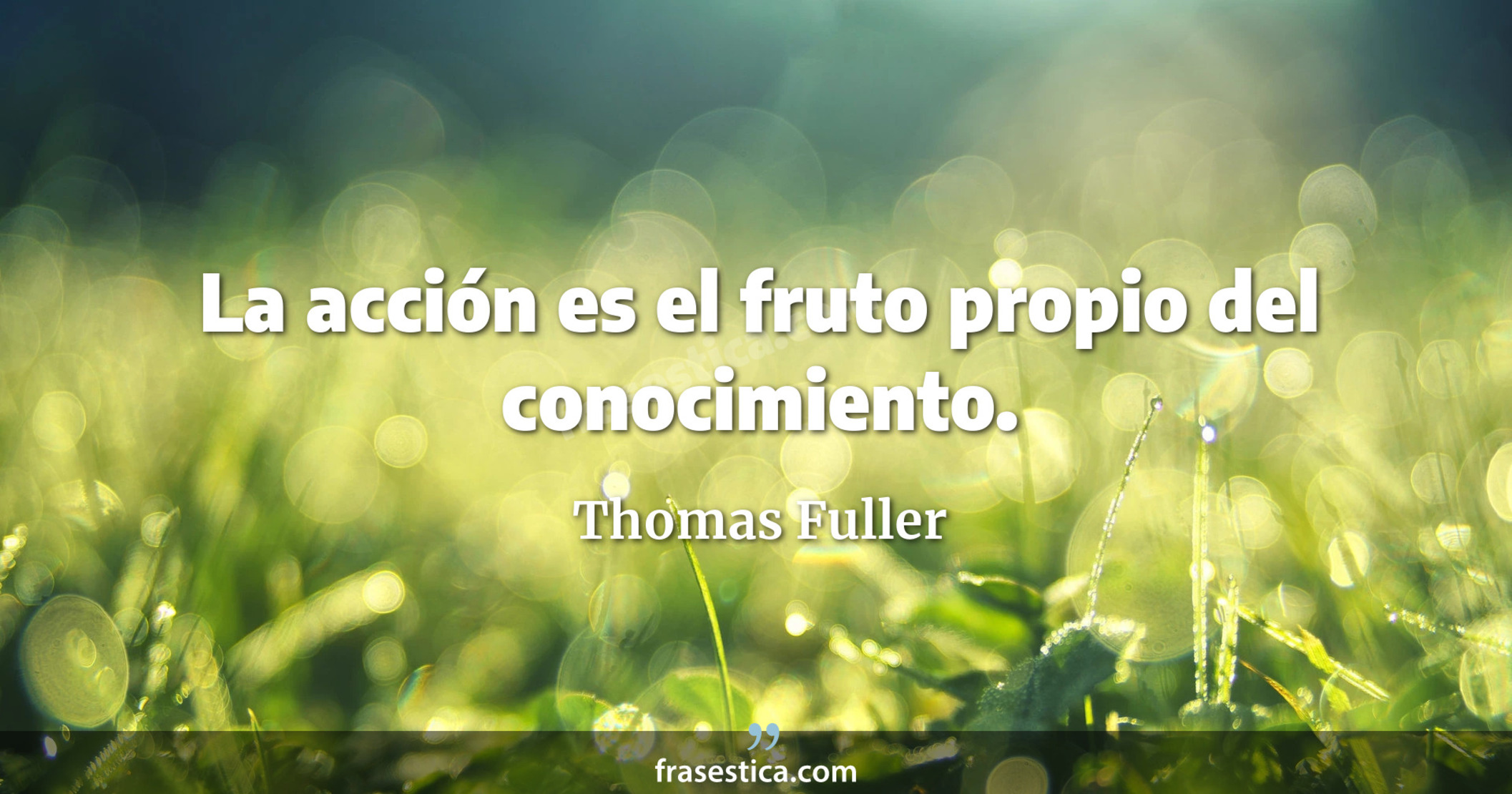 La acción es el fruto propio del conocimiento. - Thomas Fuller