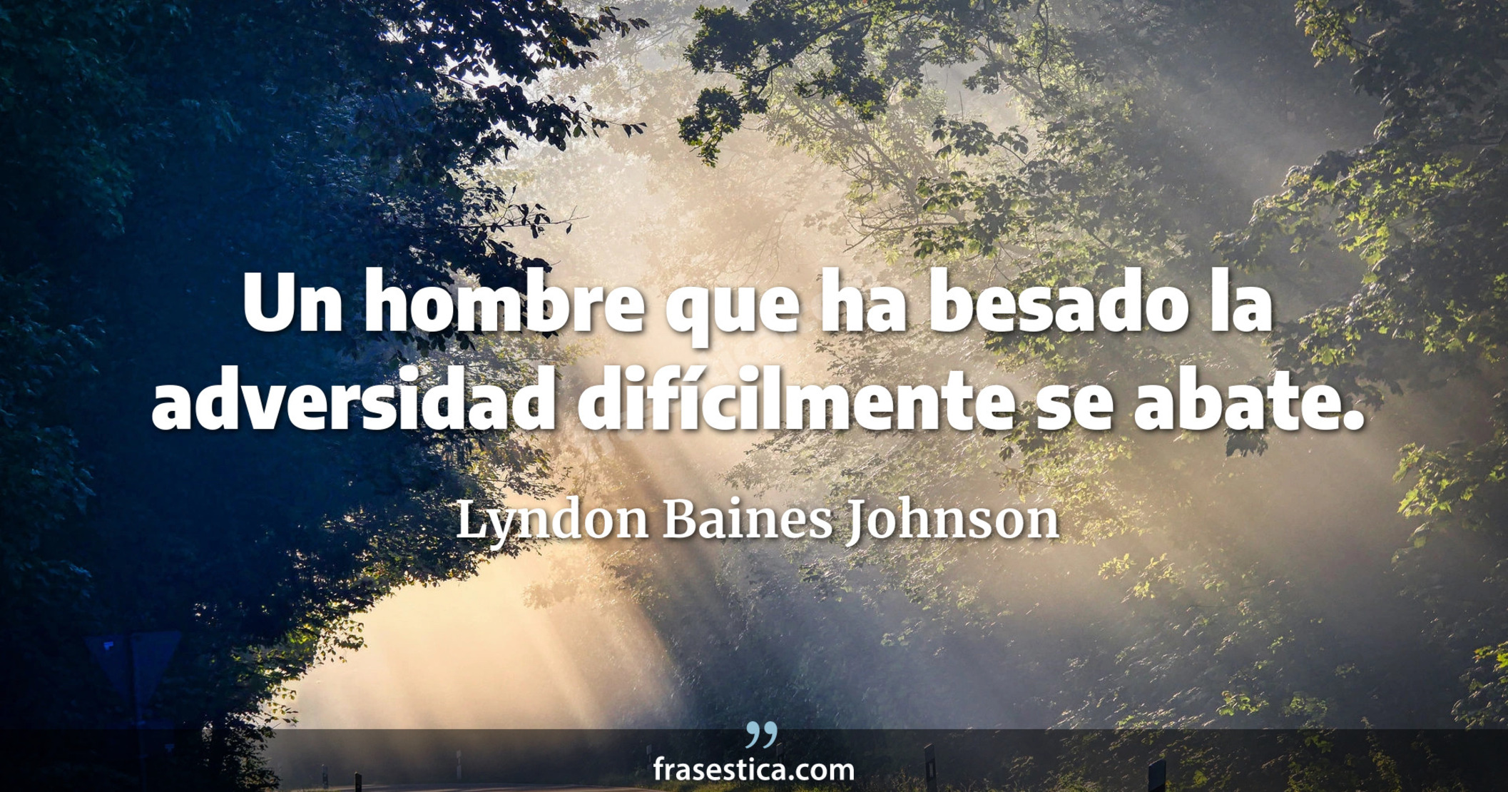 Un hombre que ha besado la adversidad difícilmente se abate. - Lyndon Baines Johnson