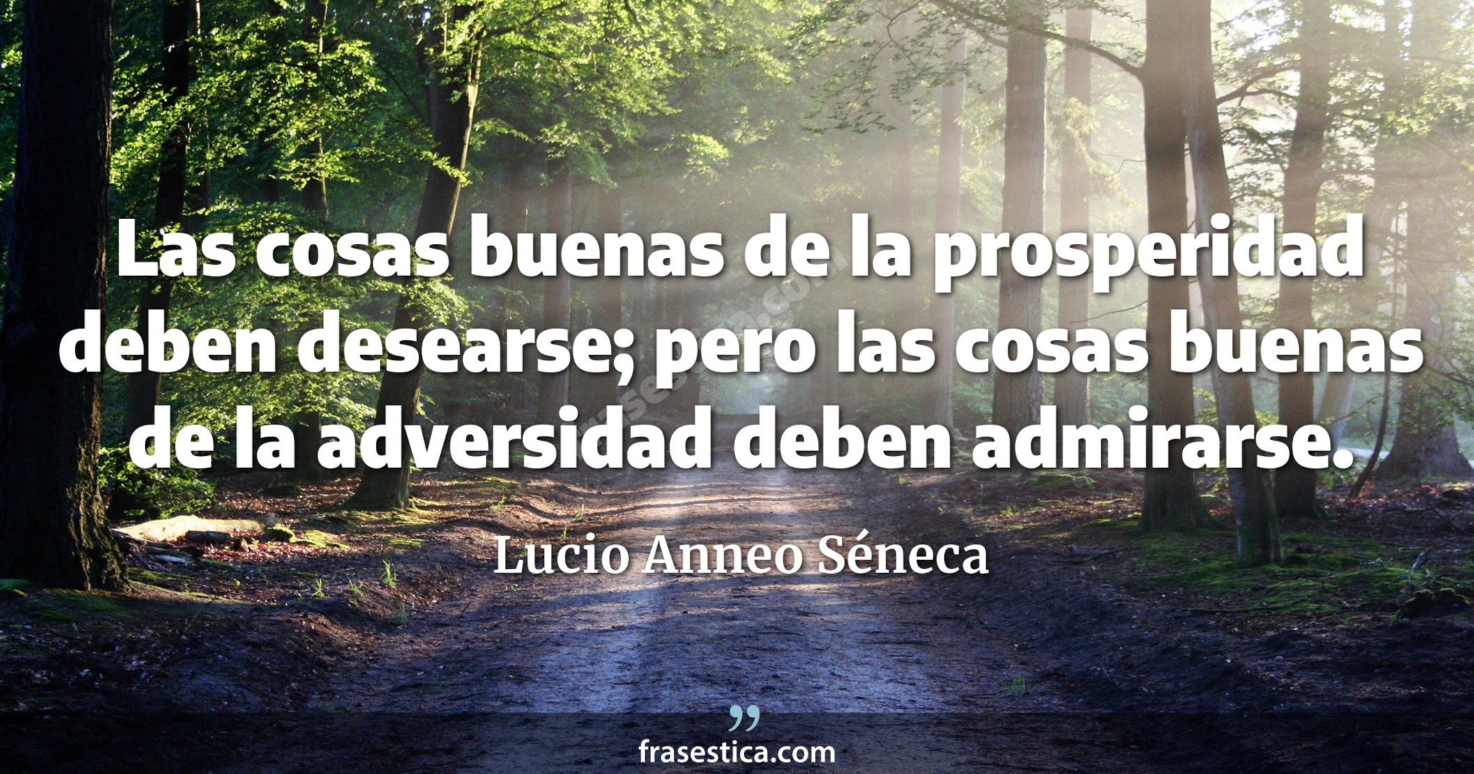 Las cosas buenas de la prosperidad deben desearse; pero las cosas buenas de la adversidad deben admirarse. - Lucio Anneo Séneca