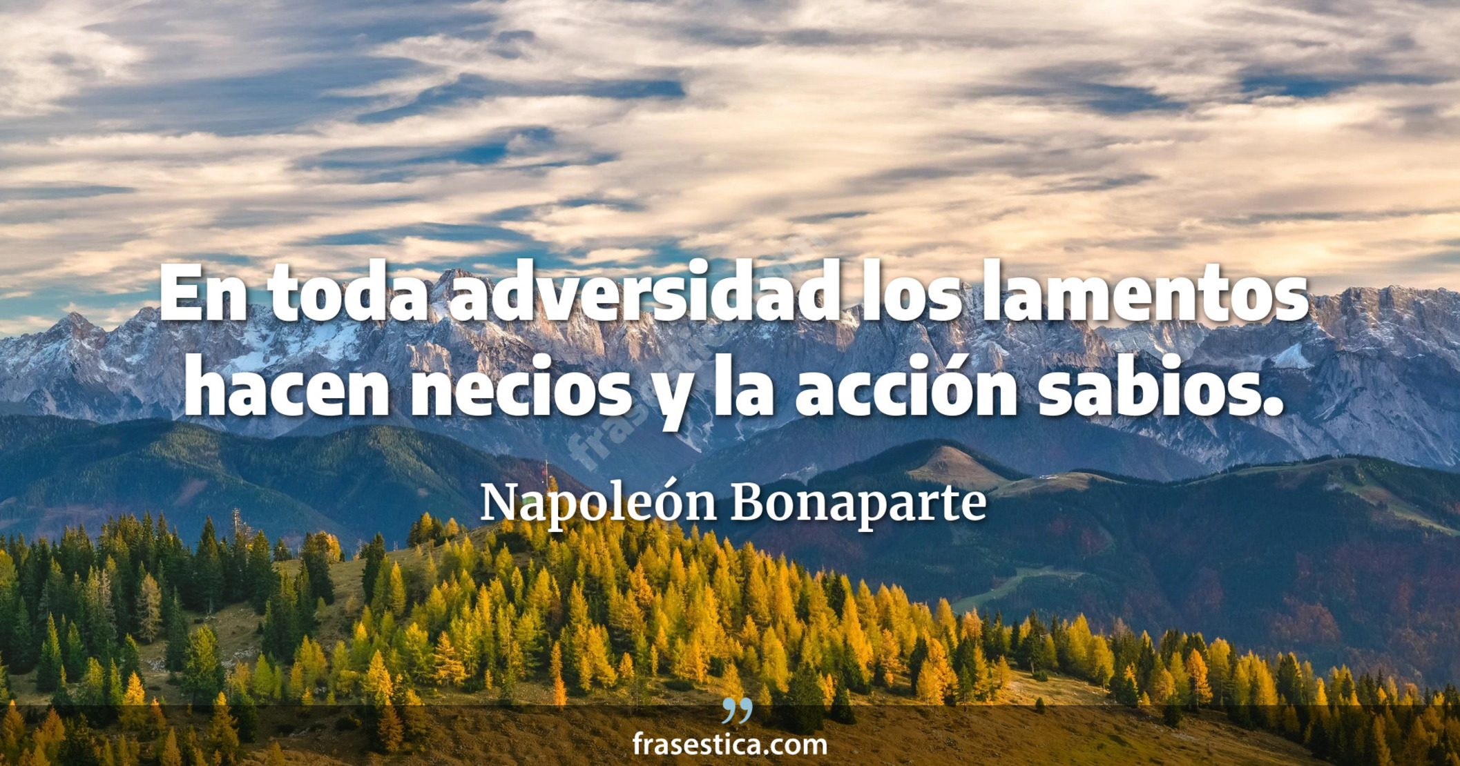 En toda adversidad los lamentos hacen necios y la acción sabios. - Napoleón Bonaparte