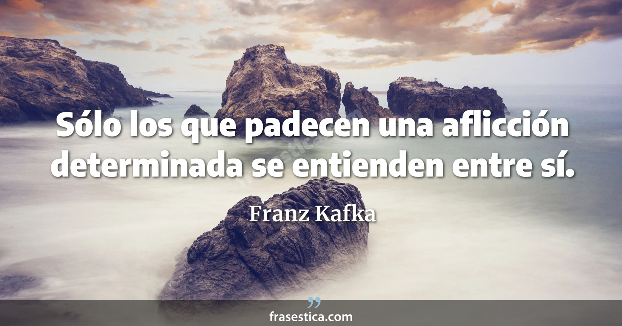 Sólo los que padecen una aflicción determinada se entienden entre sí. - Franz Kafka