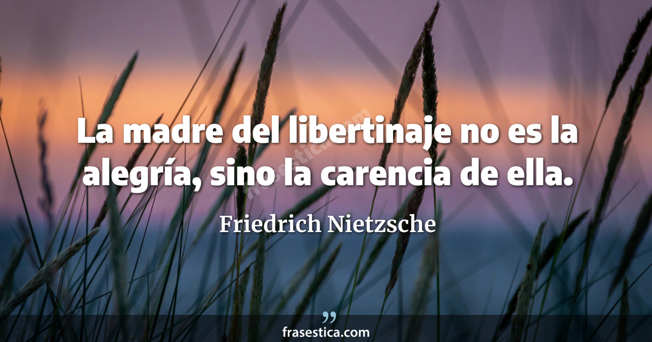 La madre del libertinaje no es la alegría, sino la carencia de ella. - Friedrich Nietzsche