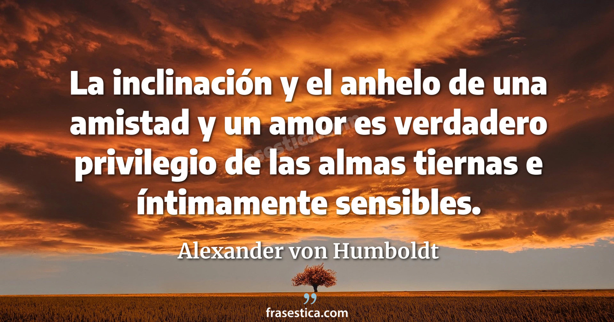 La inclinación y el anhelo de una amistad y un amor es verdadero privilegio de las almas tiernas e íntimamente sensibles. - Alexander von Humboldt